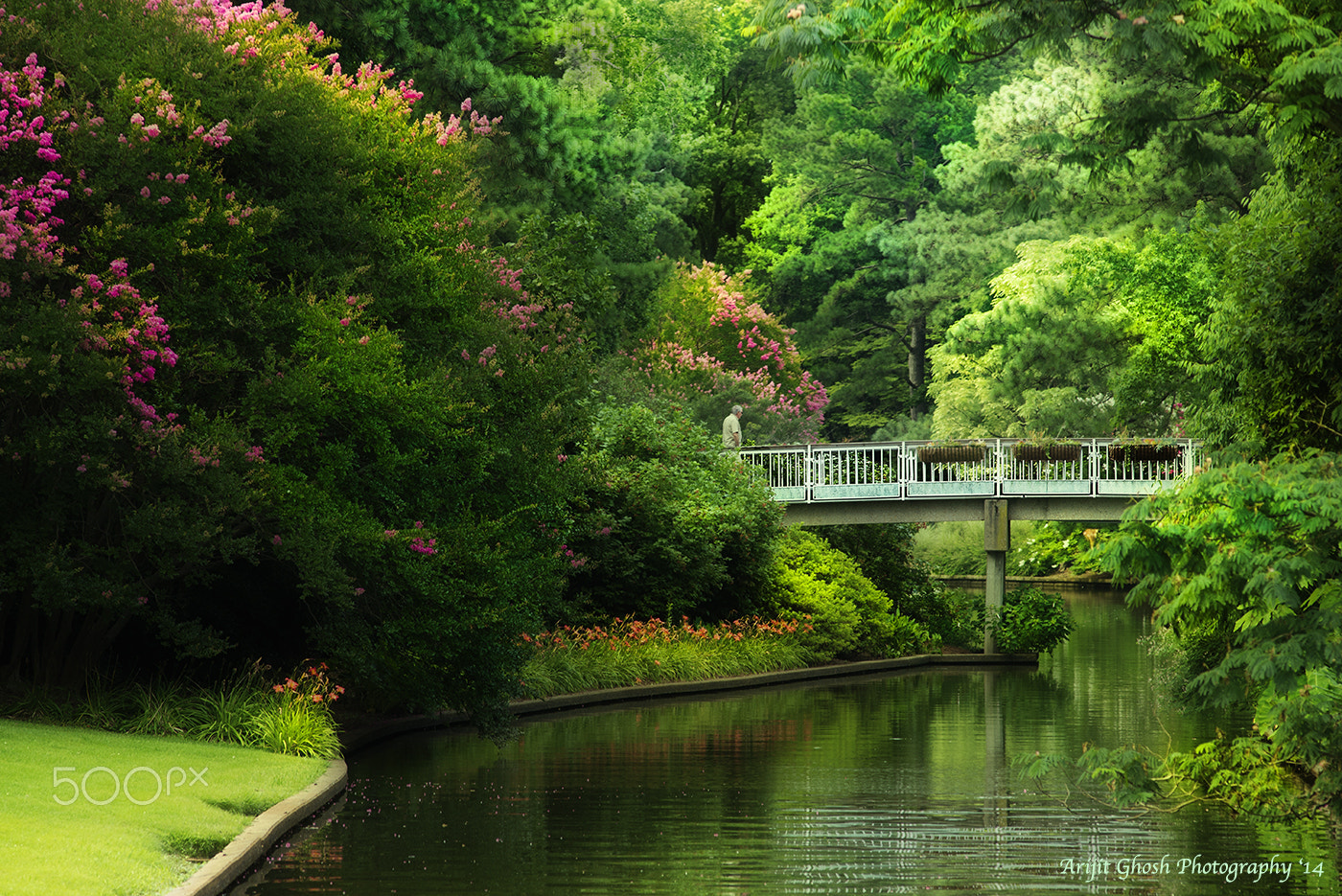 Nikon D600 + Nikon AF Nikkor 180mm F2.8D ED-IF sample photo. The green explosion... photography