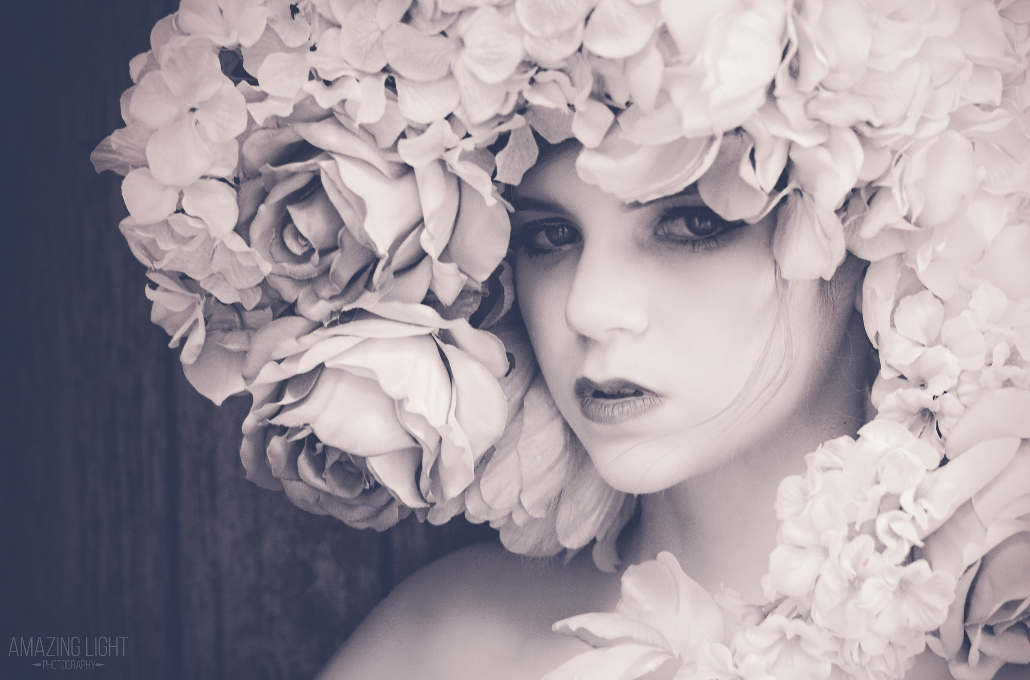 Canon EOS M sample photo. Faded rose photography