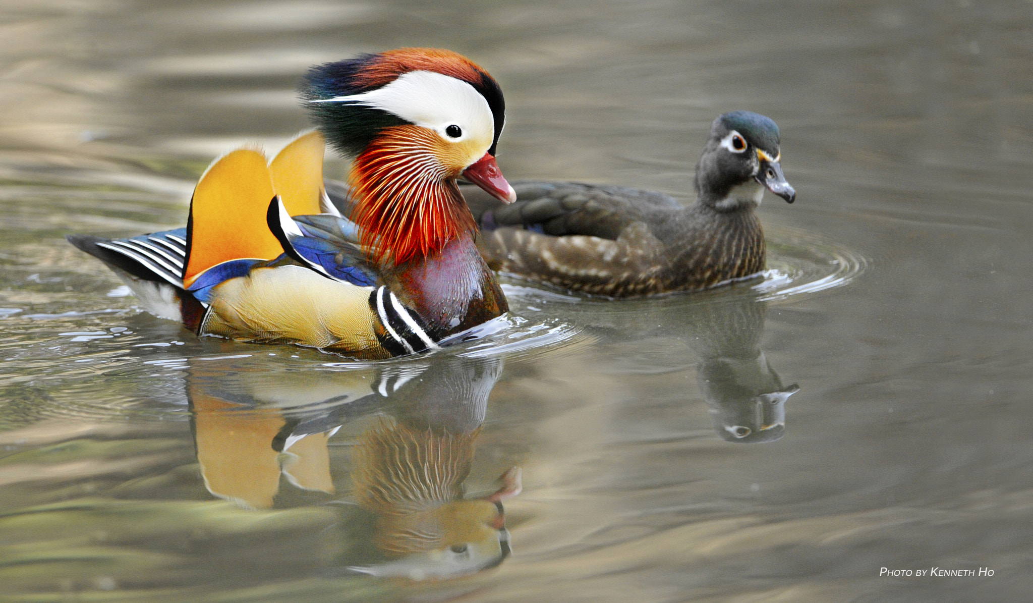 Nikon D3 sample photo. In pairs photography