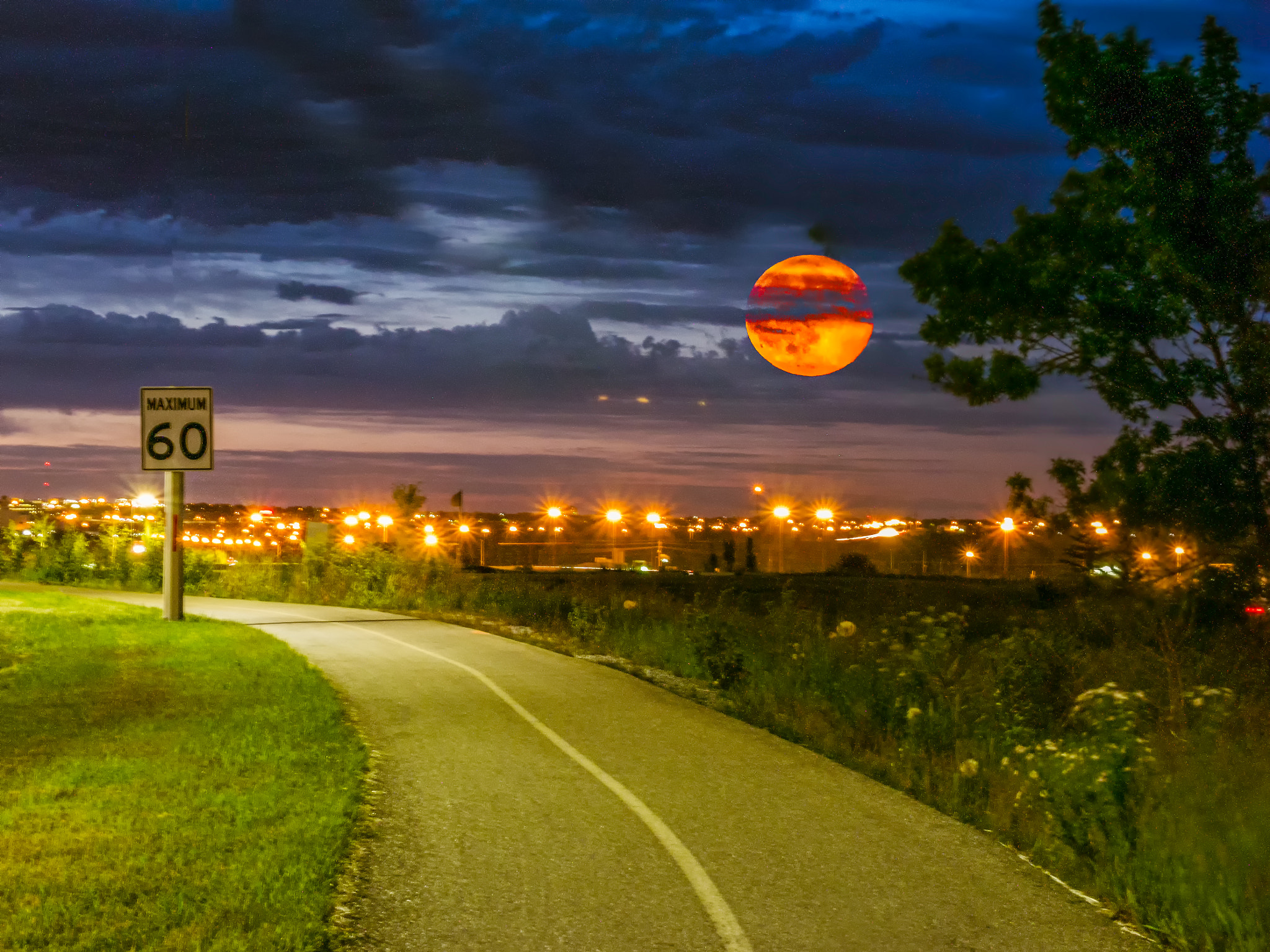 Panasonic Lumix G Vario 45-200mm F4-5.6 OIS sample photo. A rising moon photography