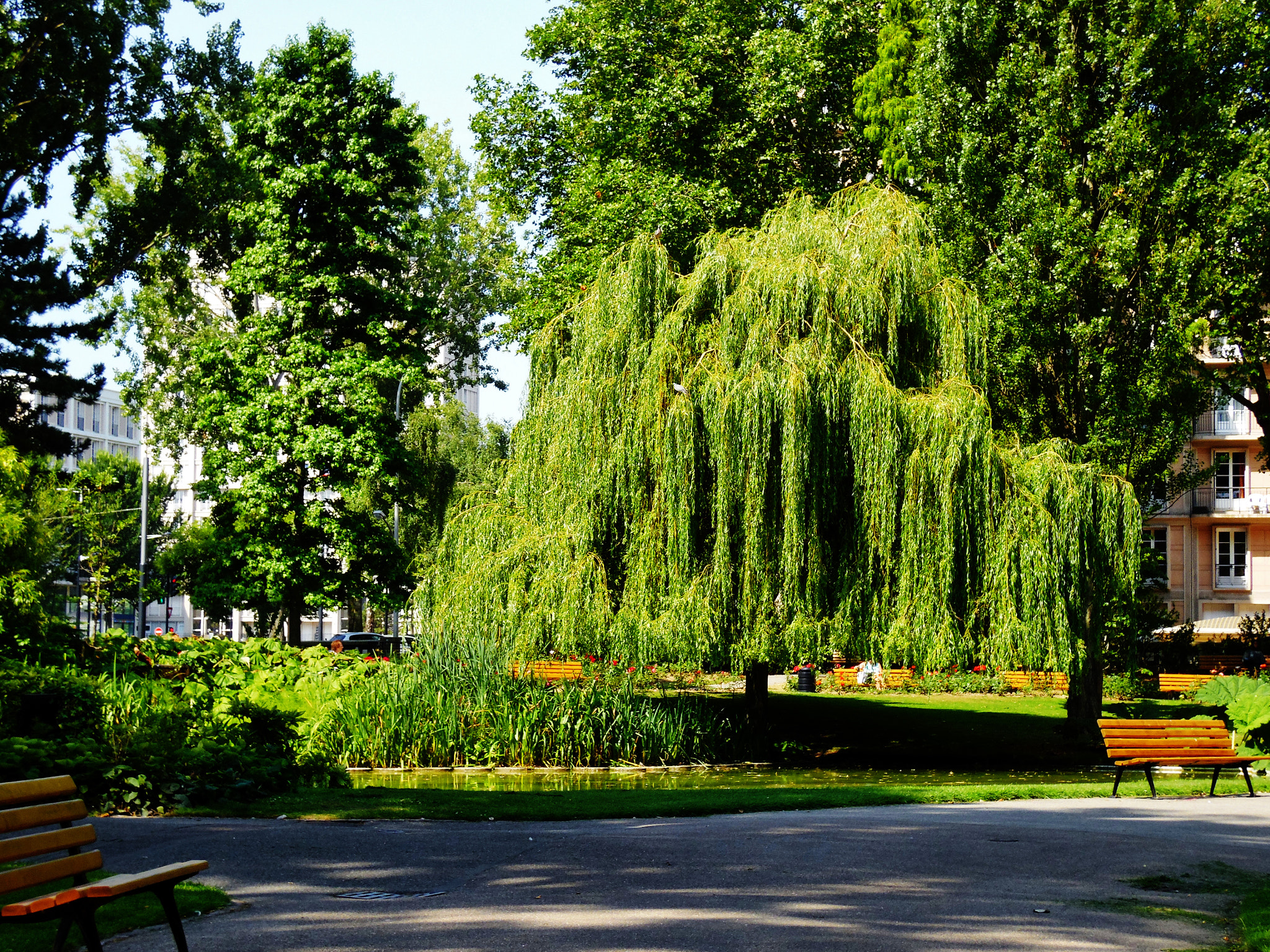 Samsung WB2200F sample photo. Sam_0408.jpg photography
