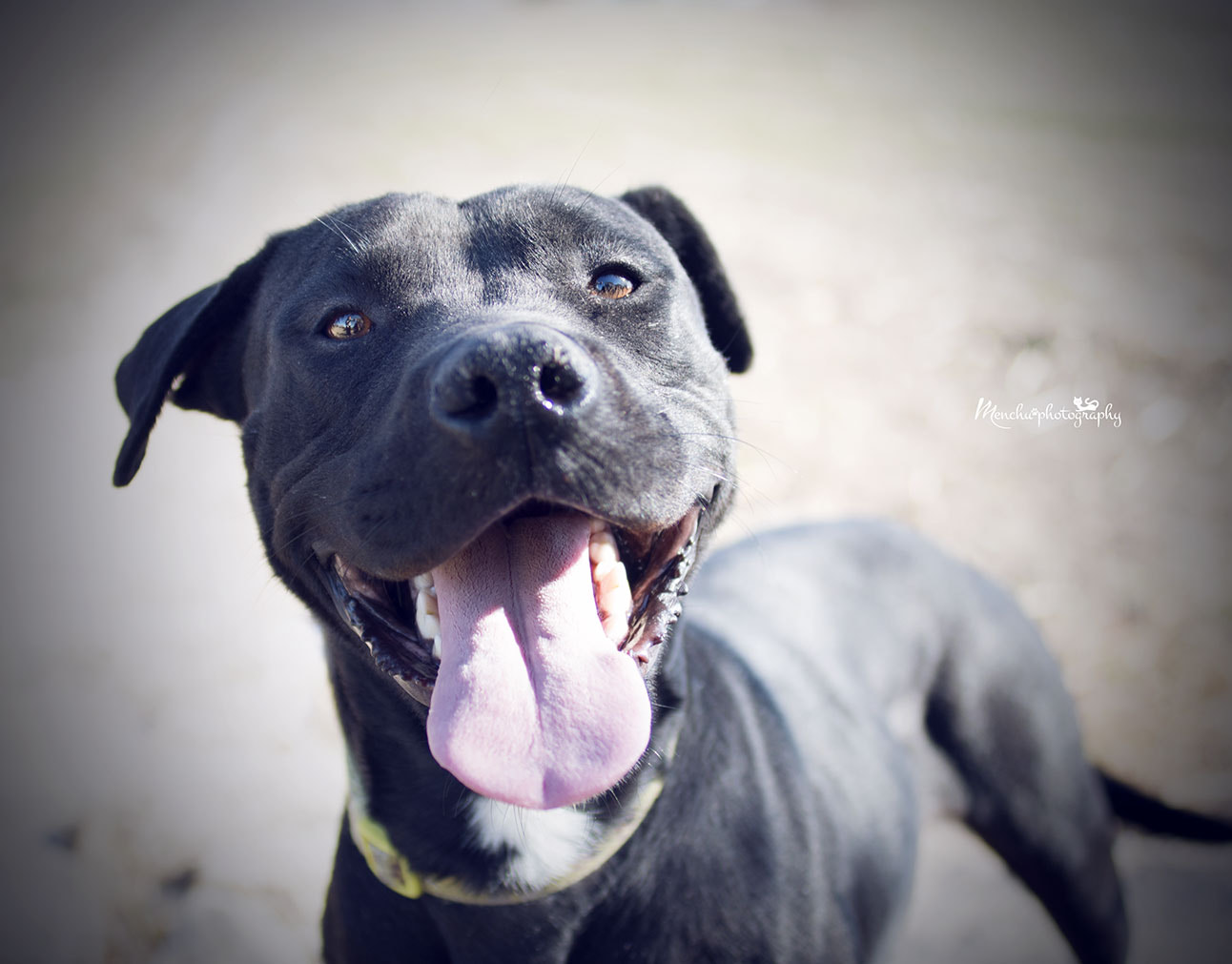 EF28-70mm f/2.8L USM sample photo. You make me smile every day photography