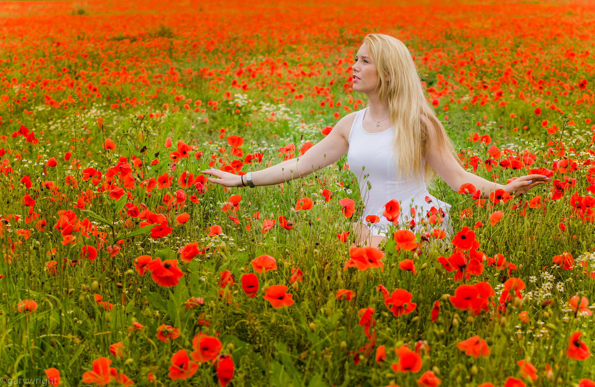 AF Zoom-Nikkor 70-210mm f/4 sample photo. Poppies photography