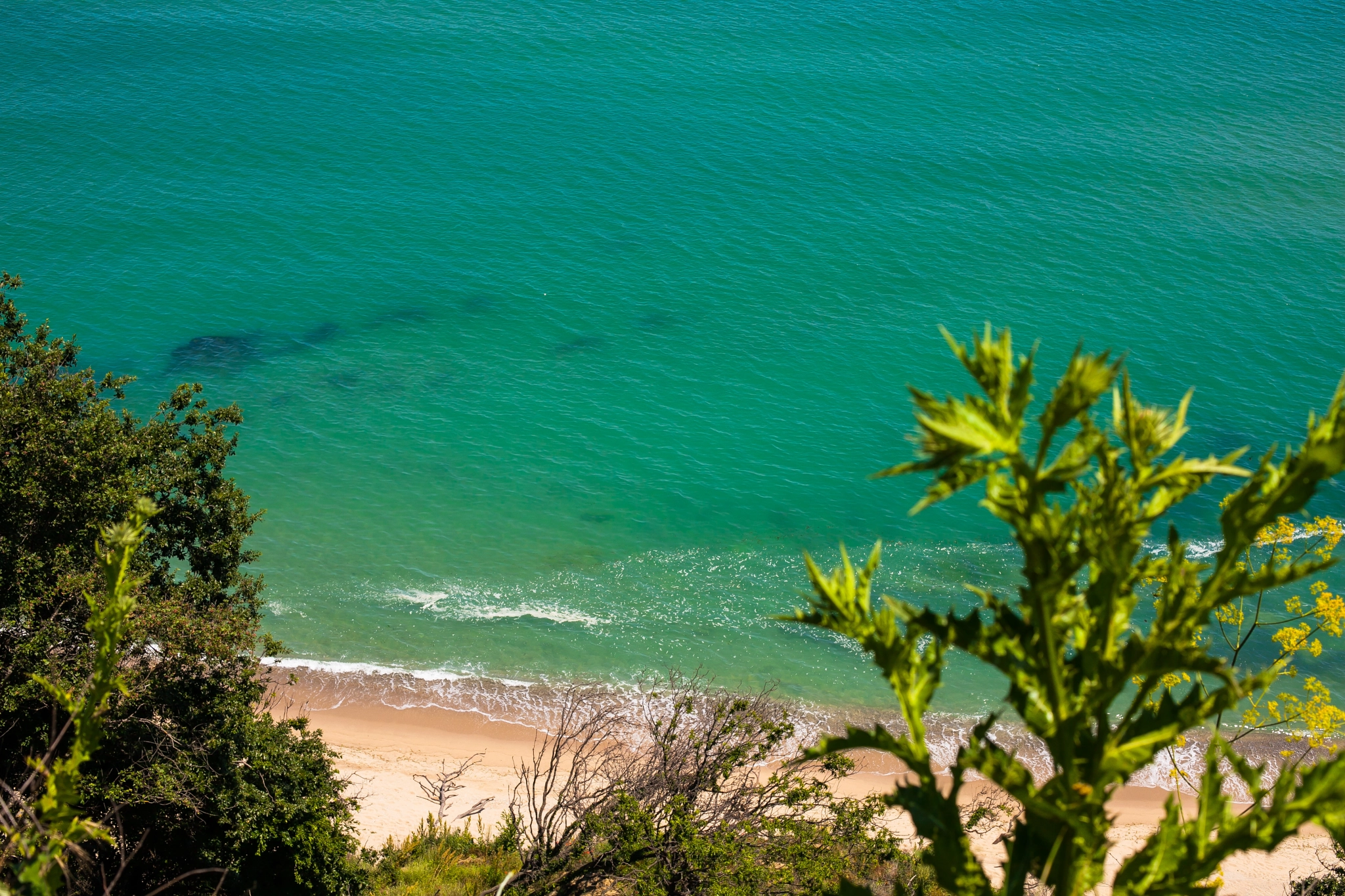 Canon EF 50mm F1.4 USM sample photo. Sea photography