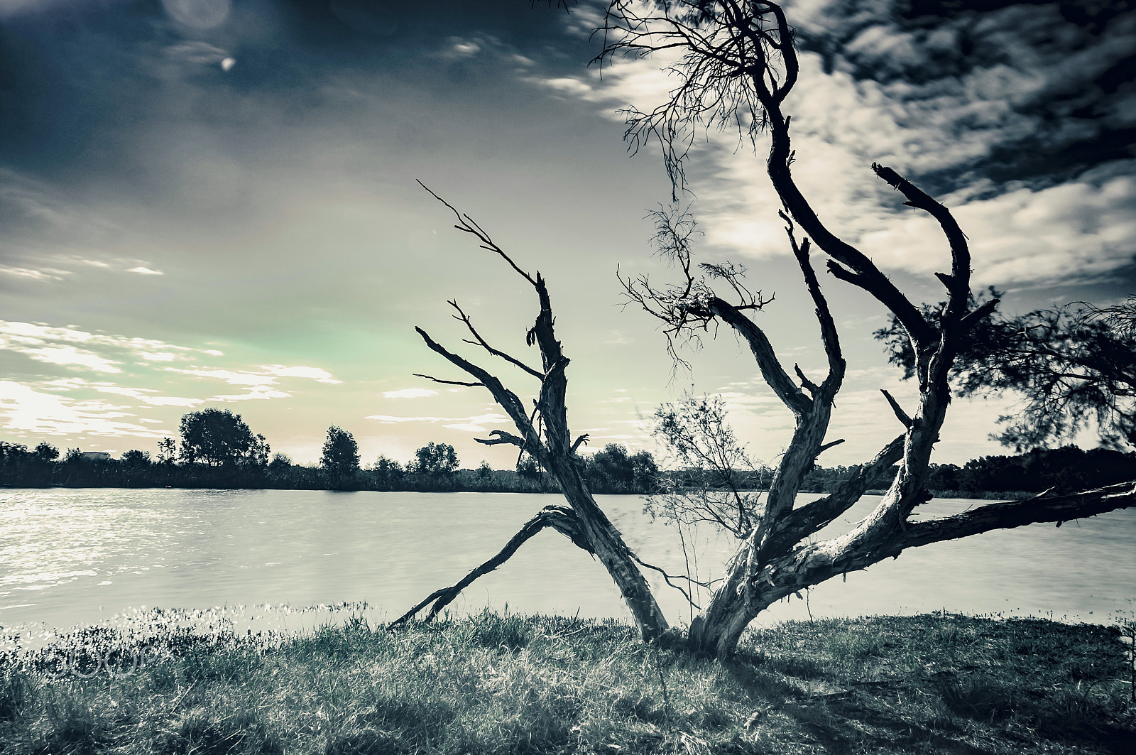 Nikon D300S sample photo. Landscape photography