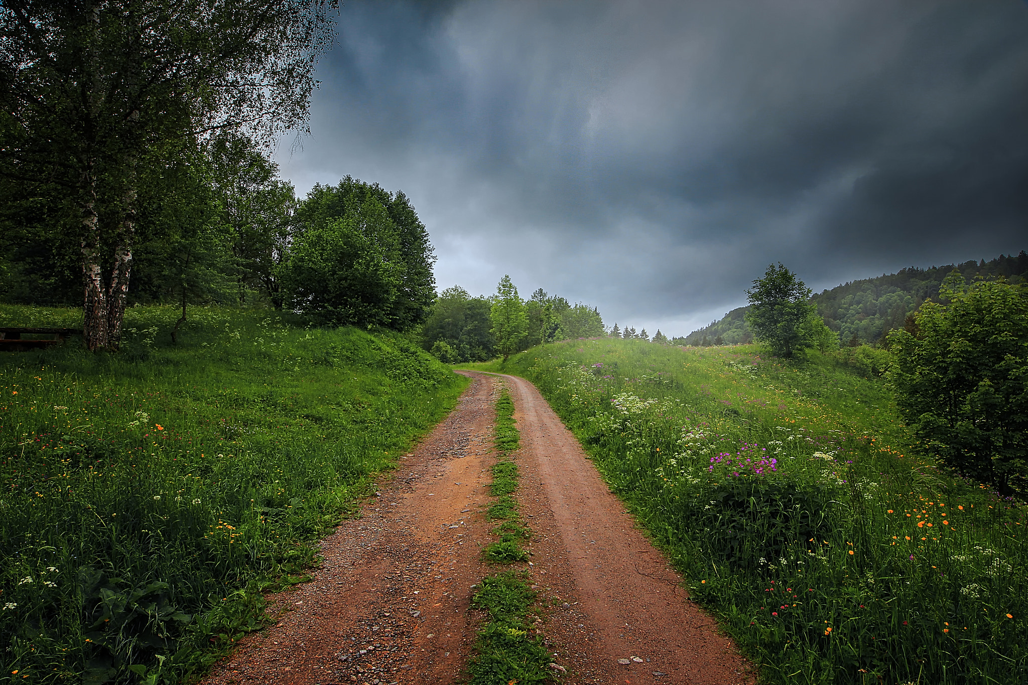 Sigma 12-24mm F4.5-5.6 II DG HSM sample photo. Country road photography