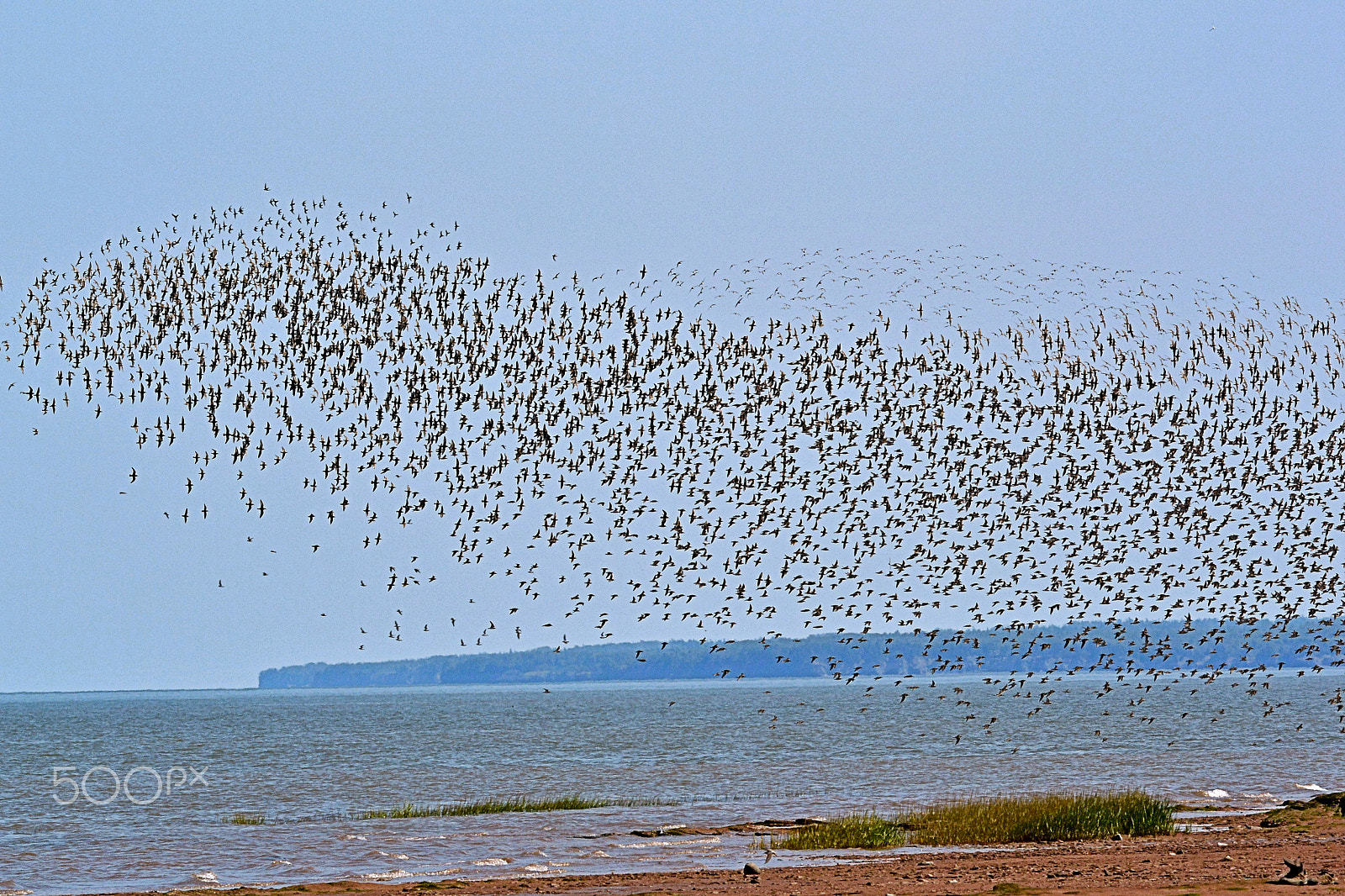 Nikon 1 Nikkor VR 70-300mm F4.5-5.6 sample photo. Evasive manoeuvers photography