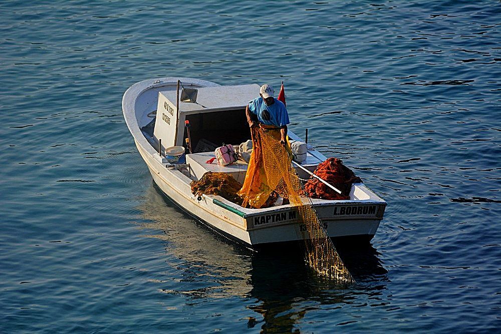 Sigma 70-300mm F4-5.6 APO Macro Super II sample photo. Le pêcheur photography