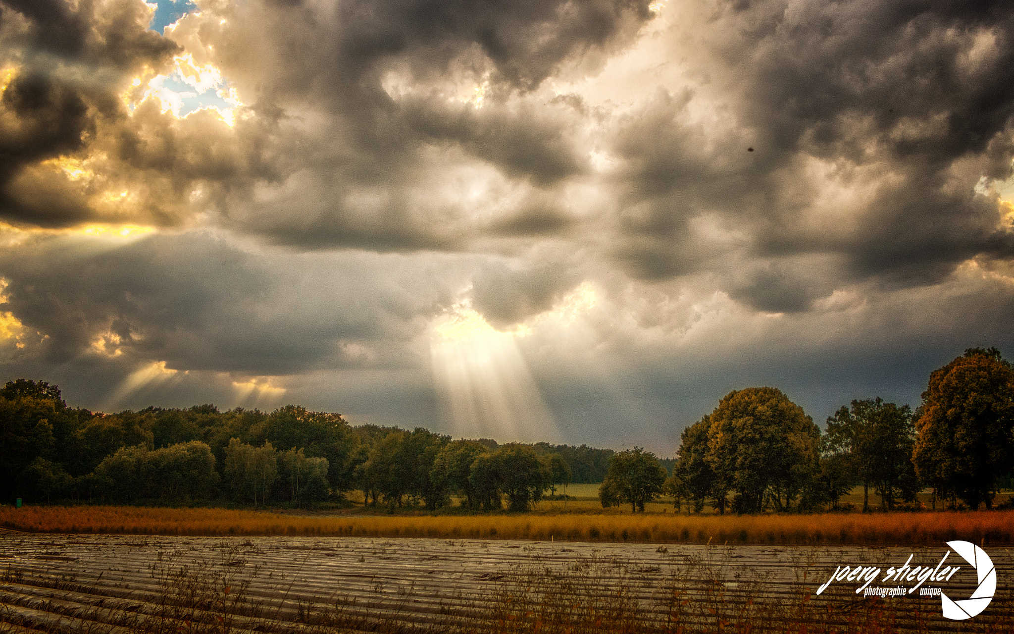 Olympus OM-D E-M5 + LUMIX G 25/F1.7 sample photo. Angel falling... photography
