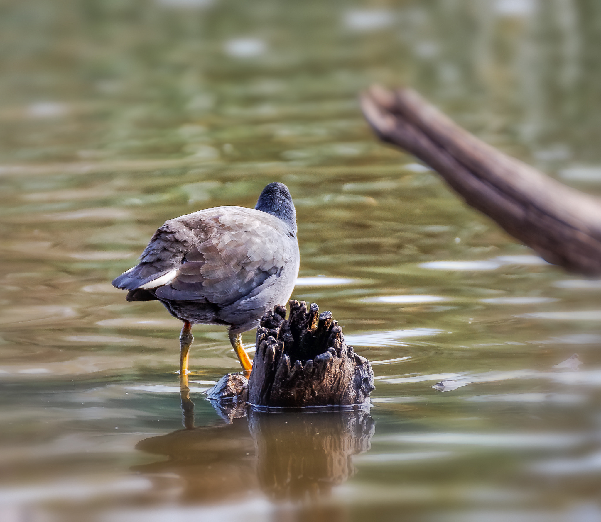 Canon EOS 5D sample photo. Contemplation photography