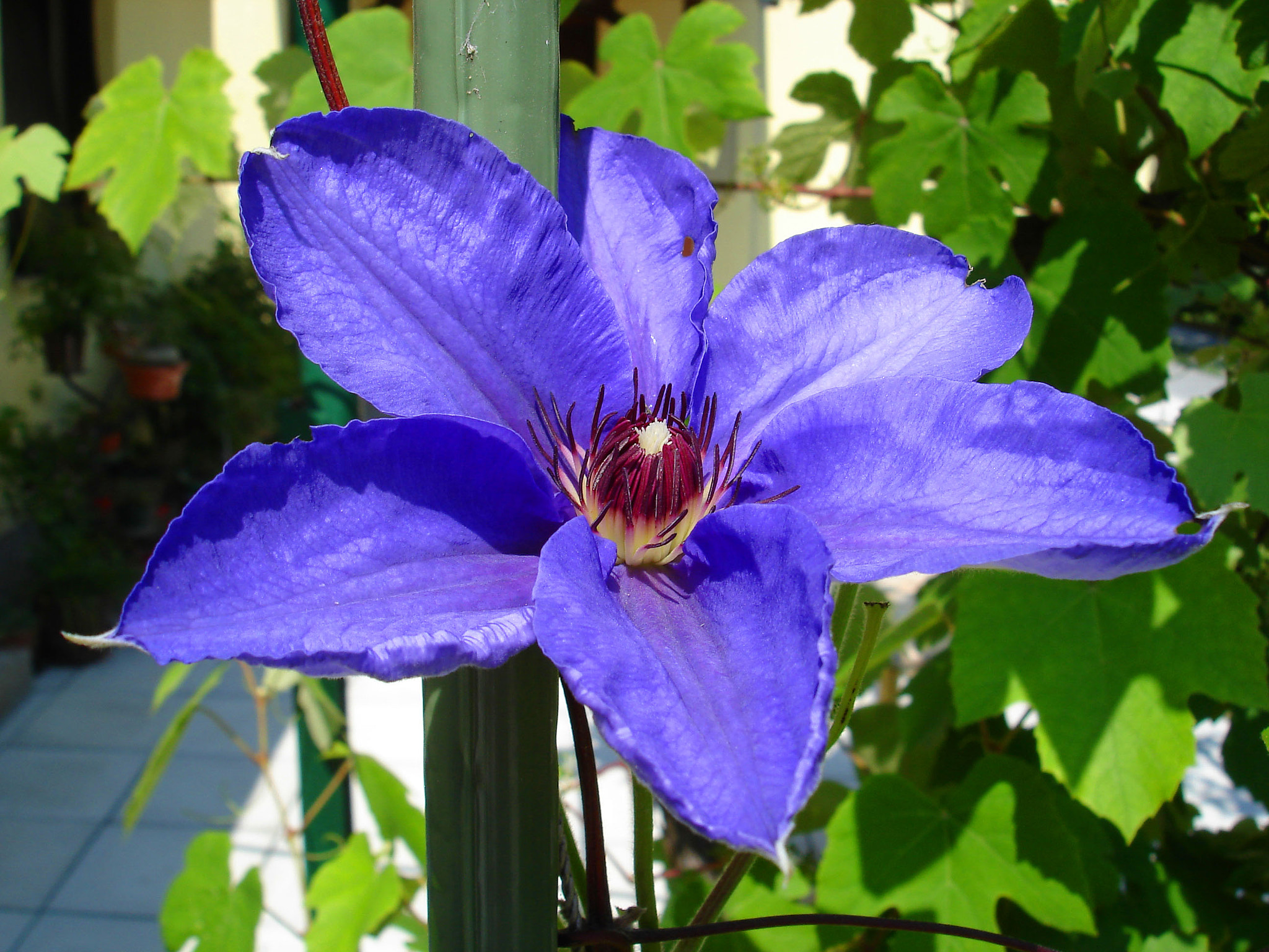 Sony DSC-W5 sample photo. Dsc00014.jpg photography