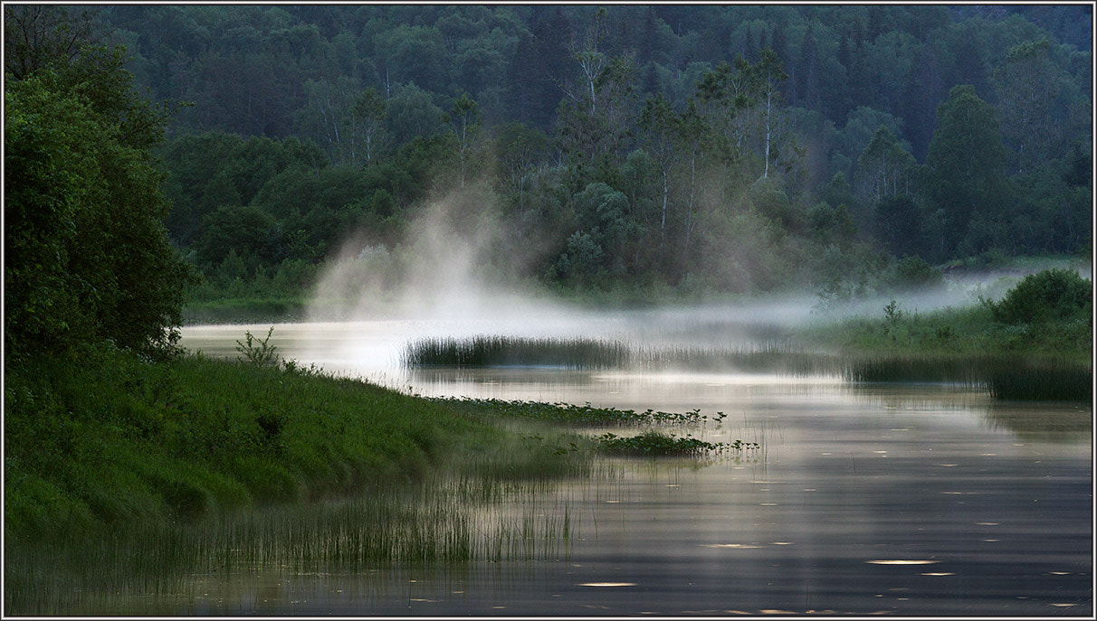 Canon EF 100-400mm F4.5-5.6L IS USM sample photo. . *** photography