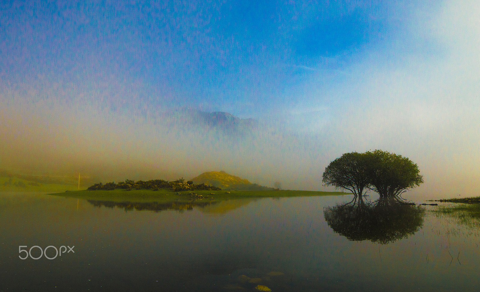 Samyang 14mm F2.8 ED AS IF UMC sample photo. The fog photography