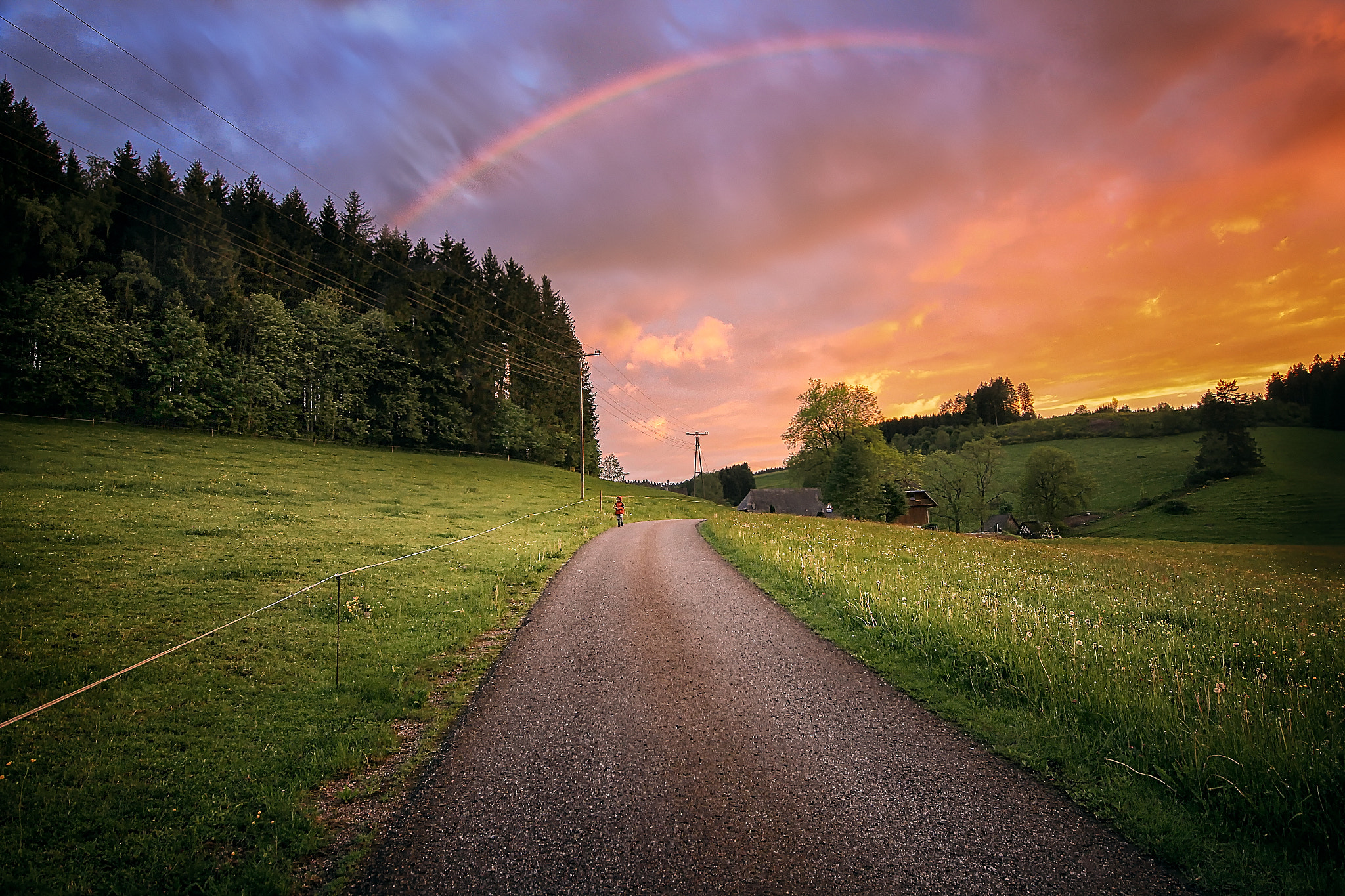 Sigma 12-24mm F4.5-5.6 II DG HSM sample photo. Country road photography