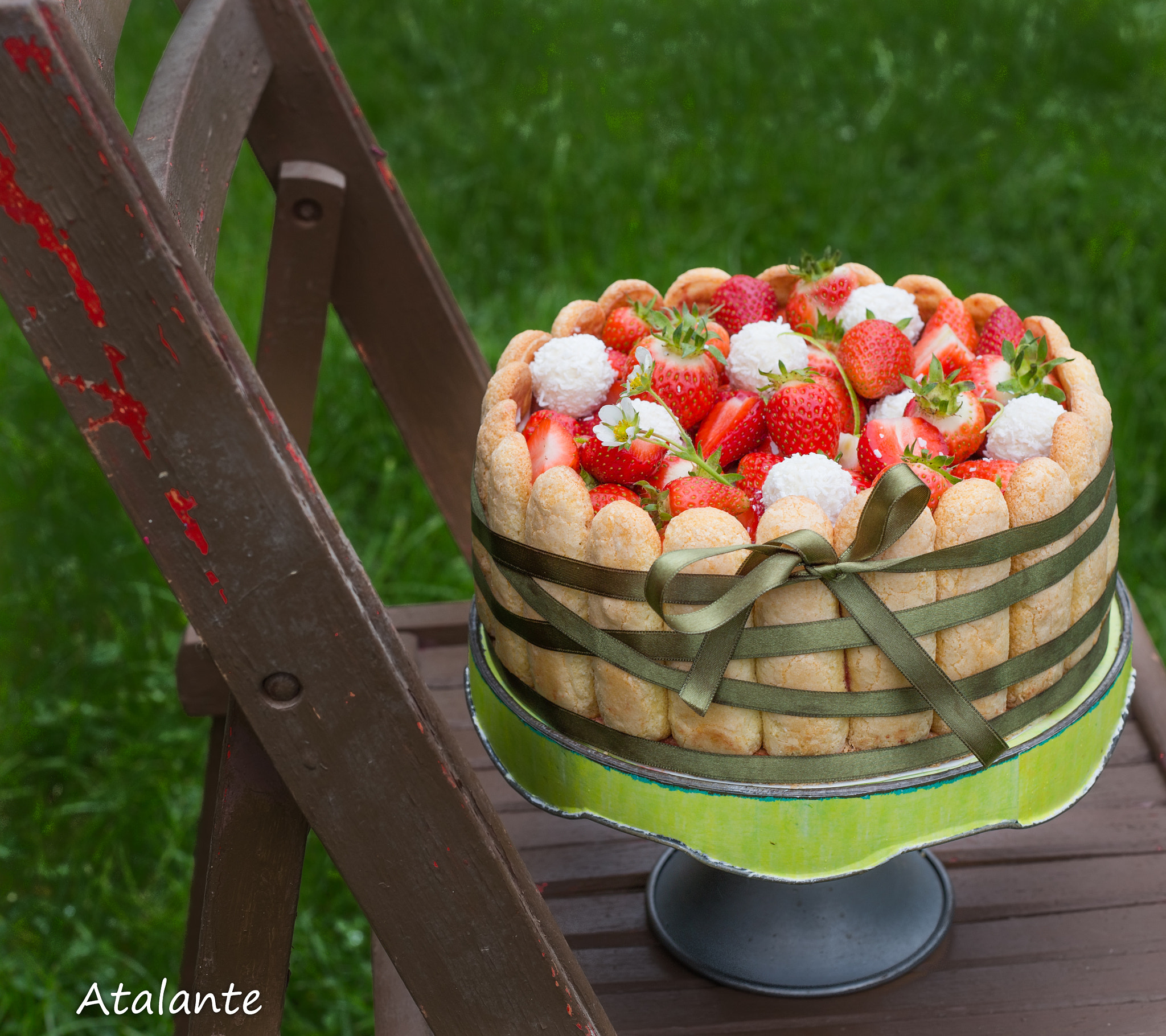 Strawberry and coconut chocolatetruffles charlotte