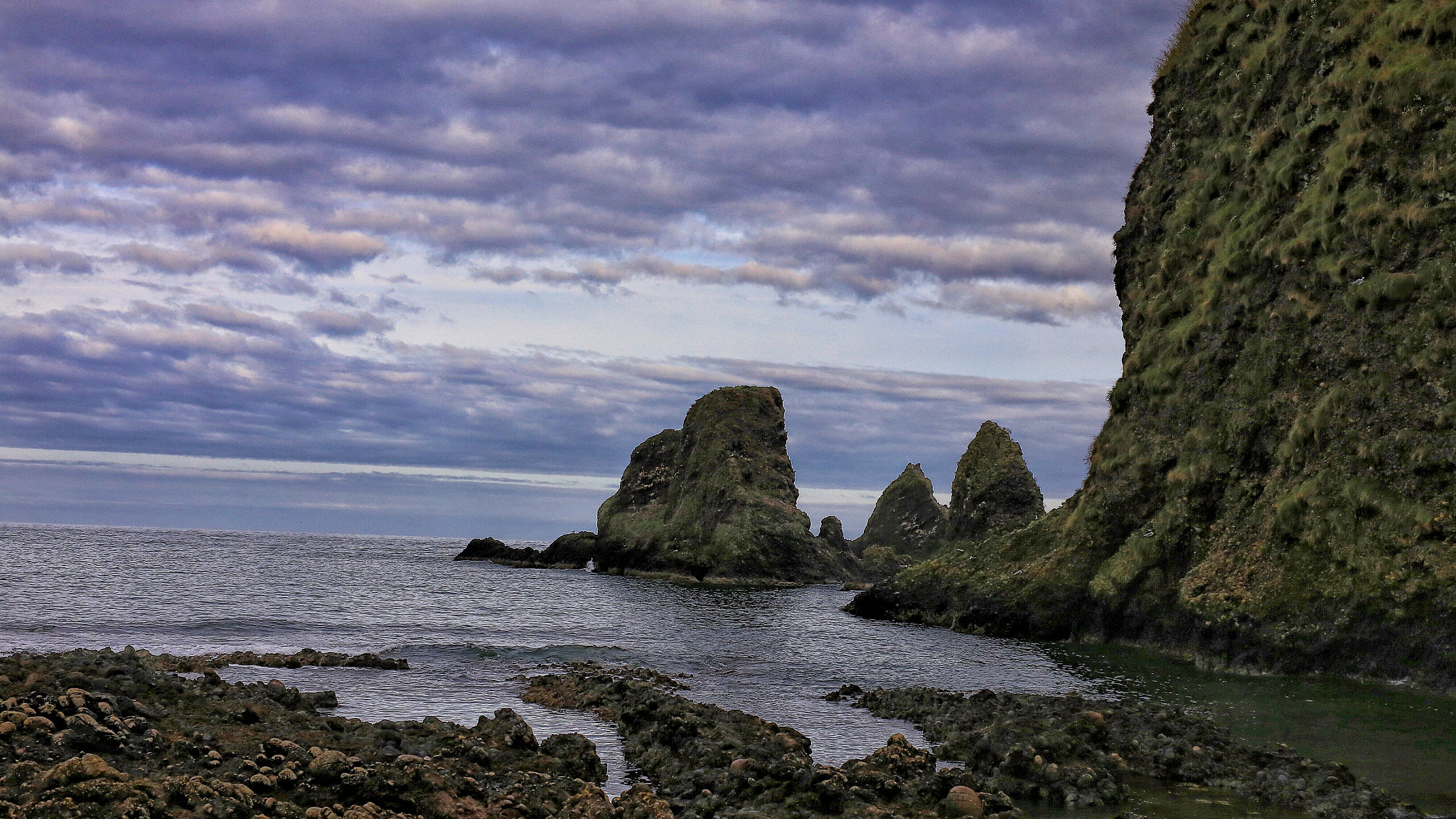 Canon 50mm sample photo