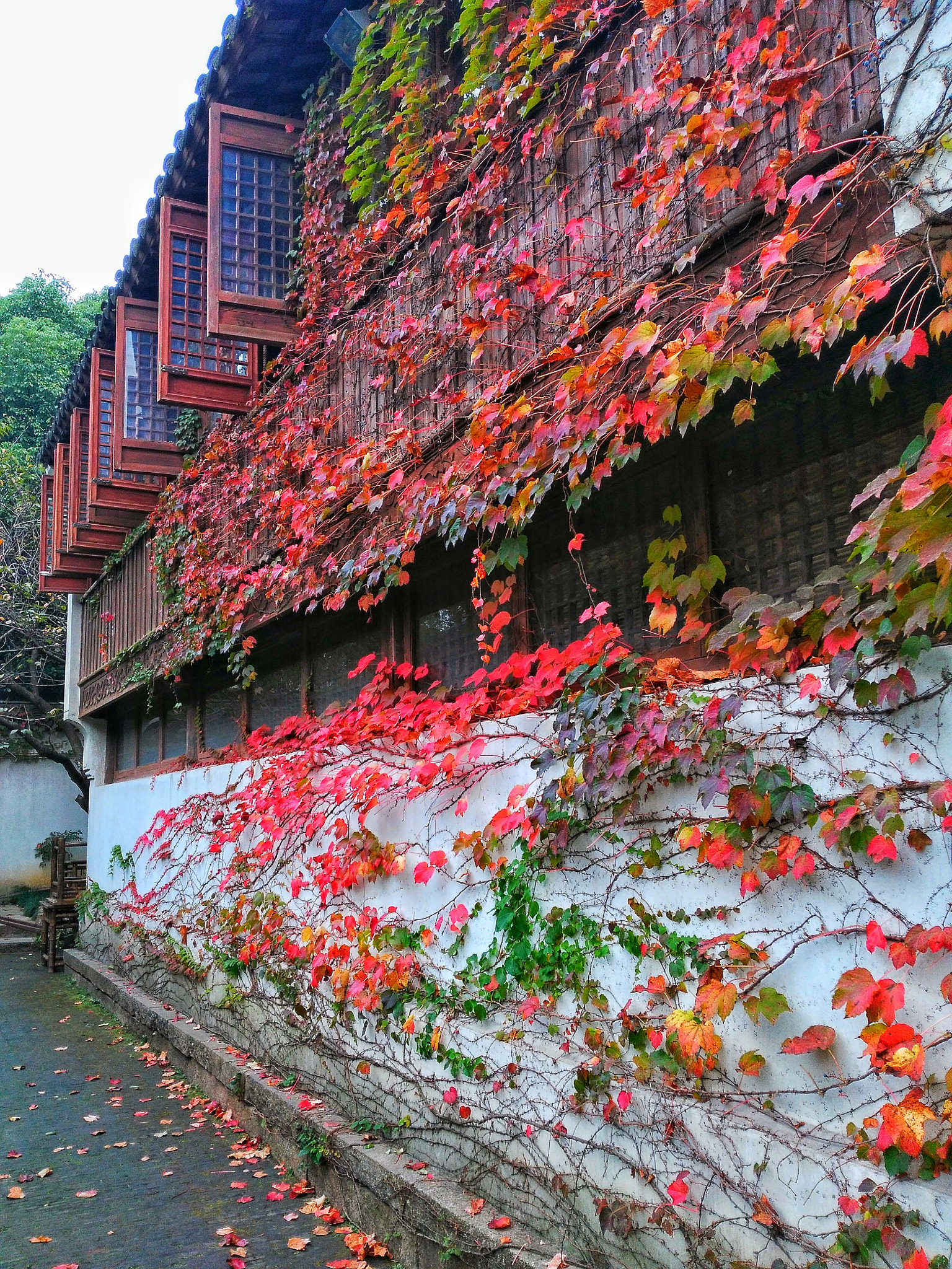 HUAWEI Honor 7i sample photo. 五彩墙 photography