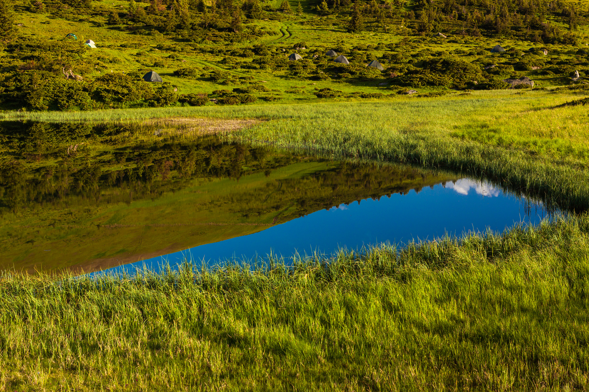 Canon EOS 50D + Canon EF 40mm F2.8 STM sample photo. Carpathians photography