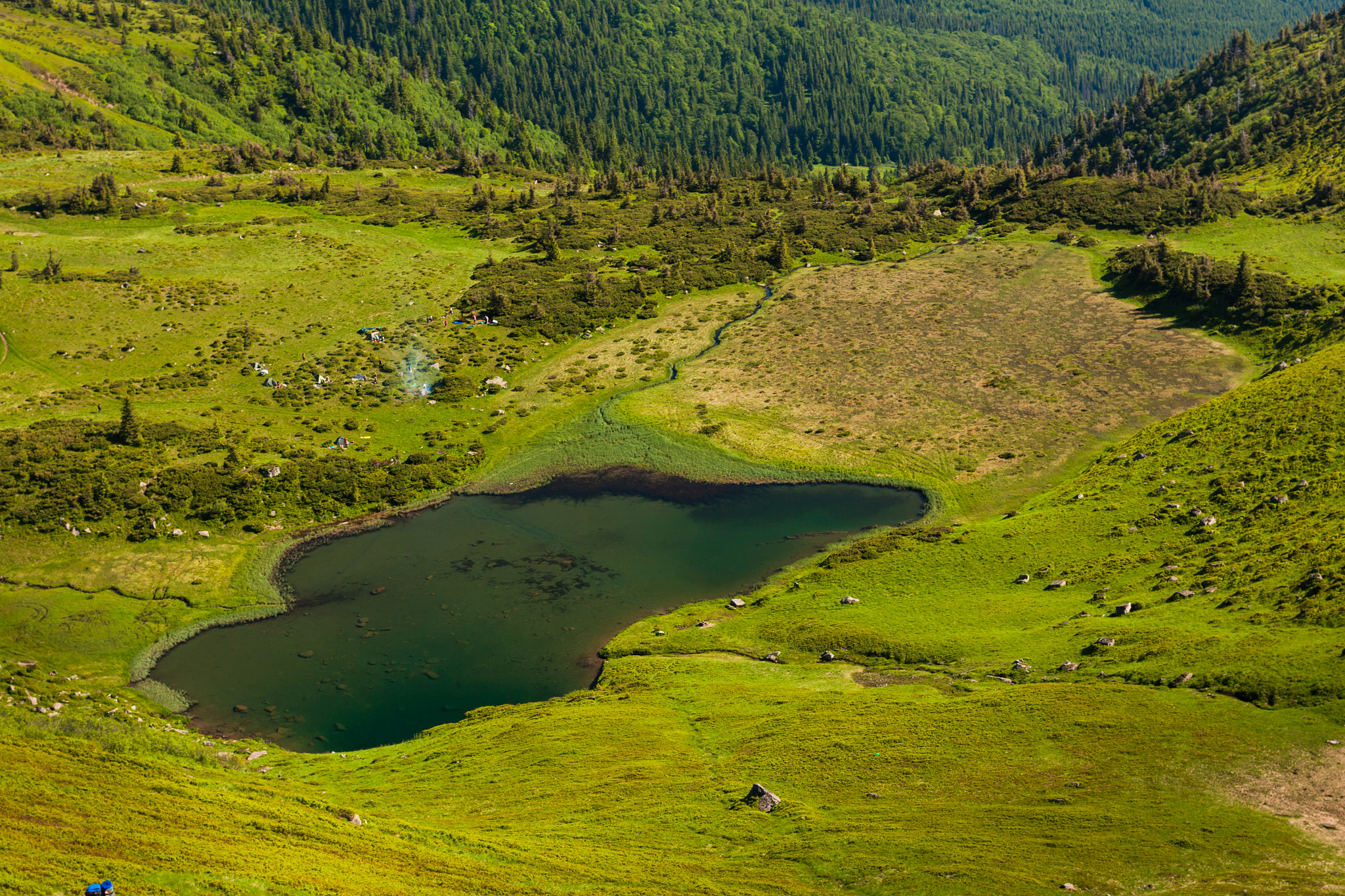 Canon EOS 50D + Canon EF 40mm F2.8 STM sample photo. Carpathians photography