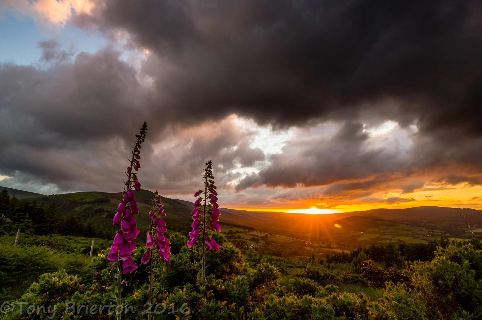 Sony a99 II + Sigma 20mm F1.8 EX DG Aspherical RF sample photo. Sunset over glencree valley. photography