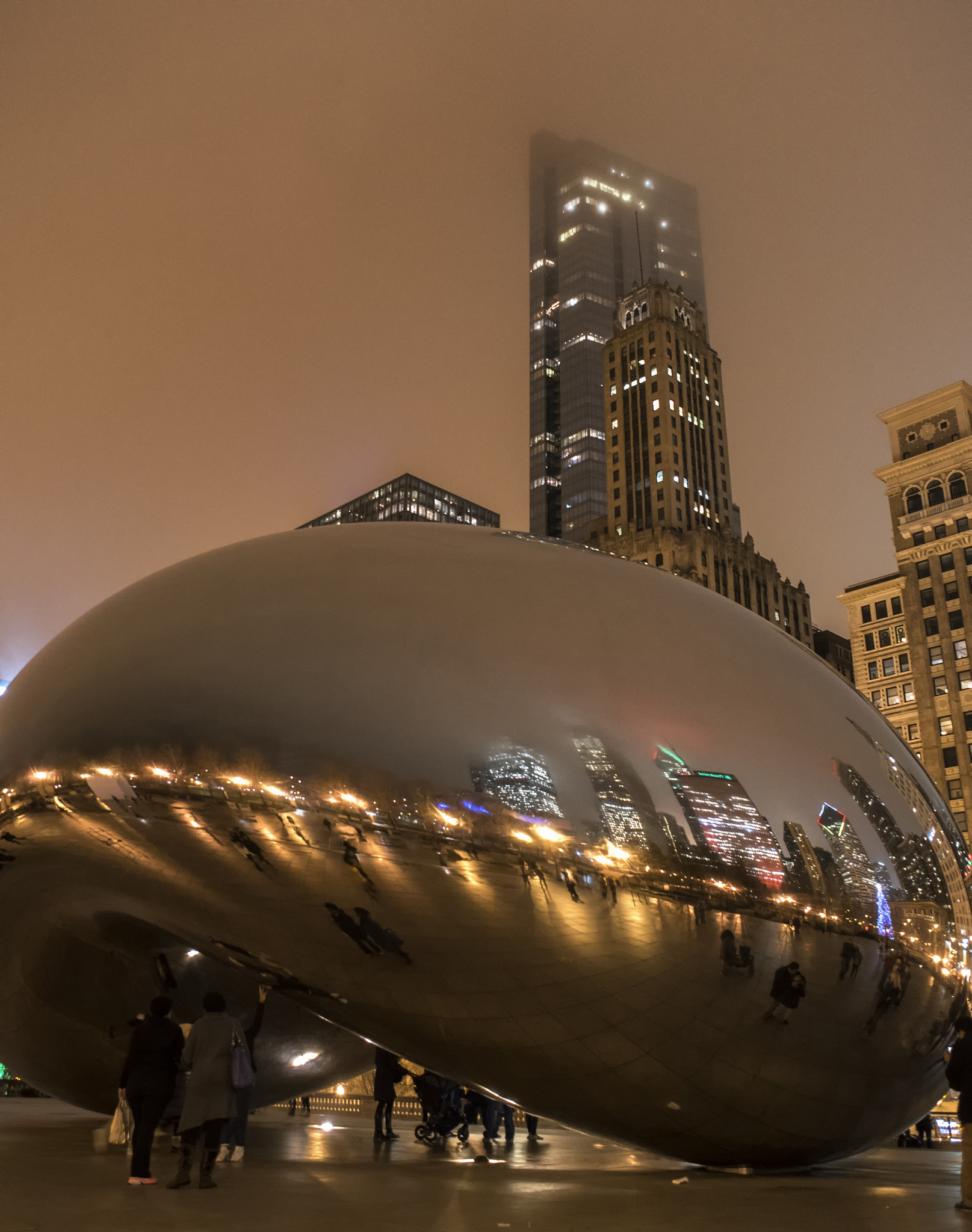 Nikon D750 + AF Nikkor 24mm f/2.8 sample photo. Bean in fog photography