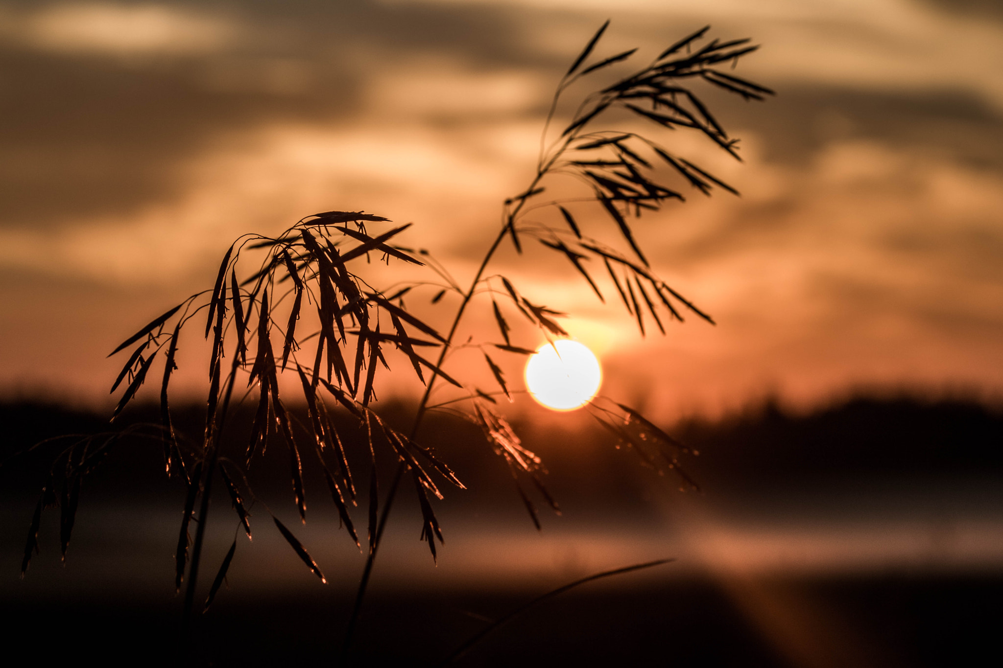 Canon EF 70-300mm F4-5.6 IS USM sample photo. Sunrise photography
