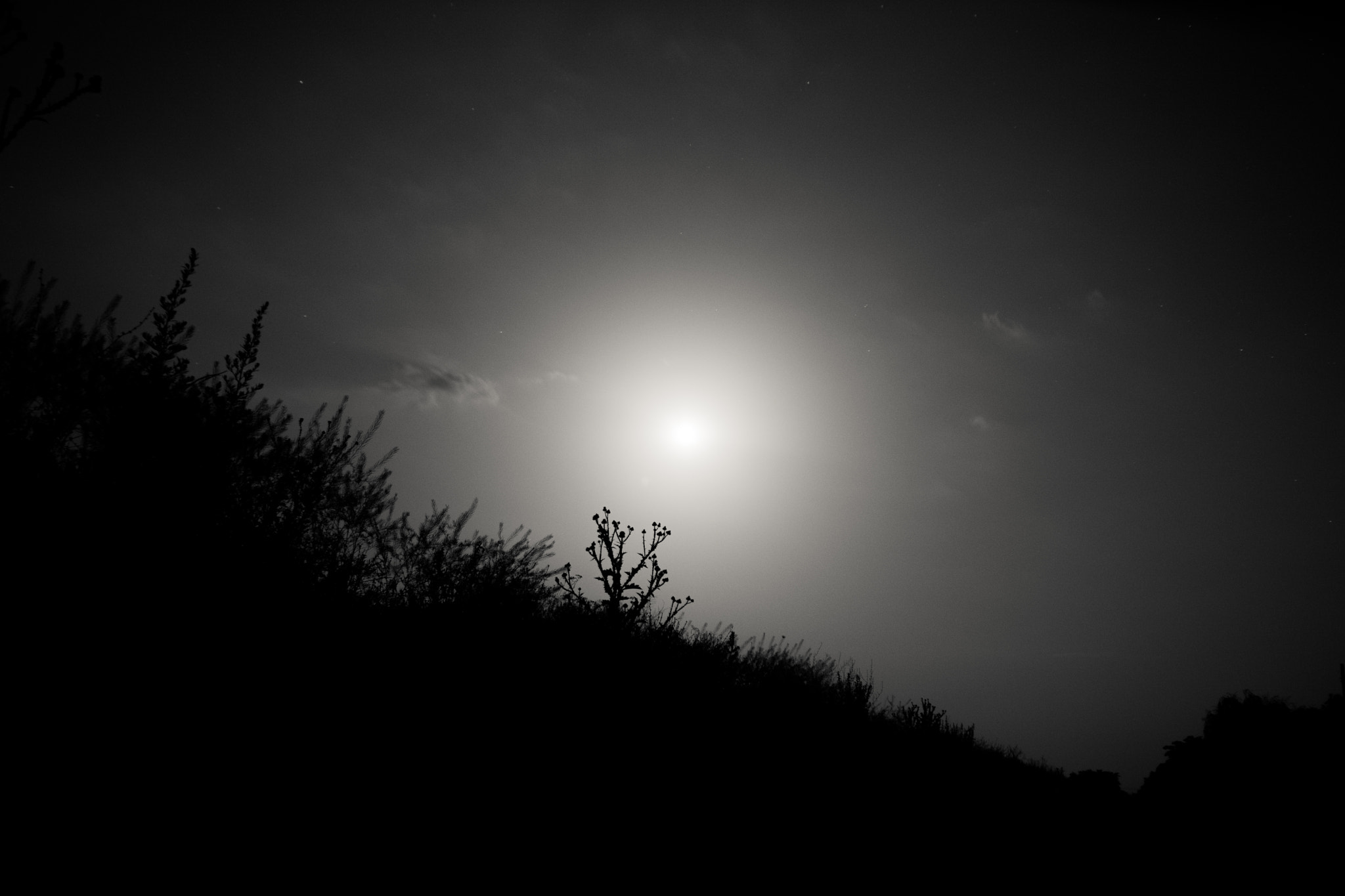Sigma 18-50mm F2.8-4.5 DC OS HSM sample photo. Night. photography
