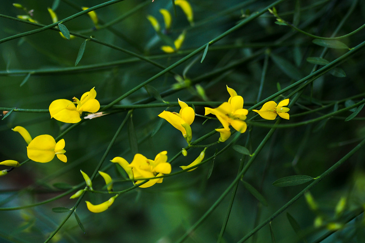 Olympus PEN E-PM2 sample photo. *** photography