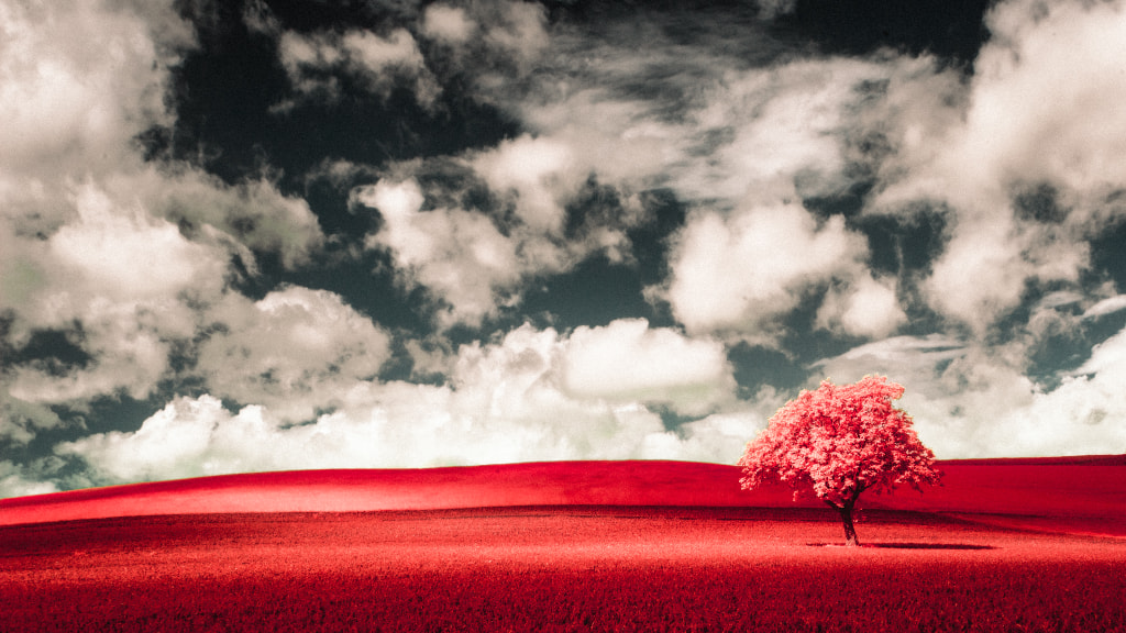Solitude #11 by Alexandre Lachausse on 500px.com