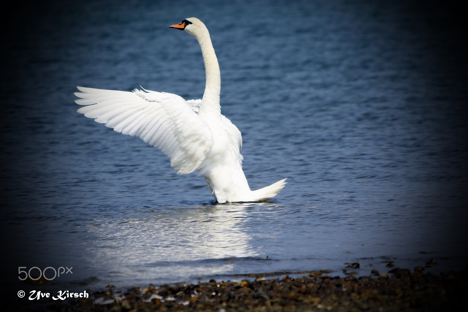 Sigma 150-500mm F5-6.3 DG OS HSM sample photo. The conductor photography