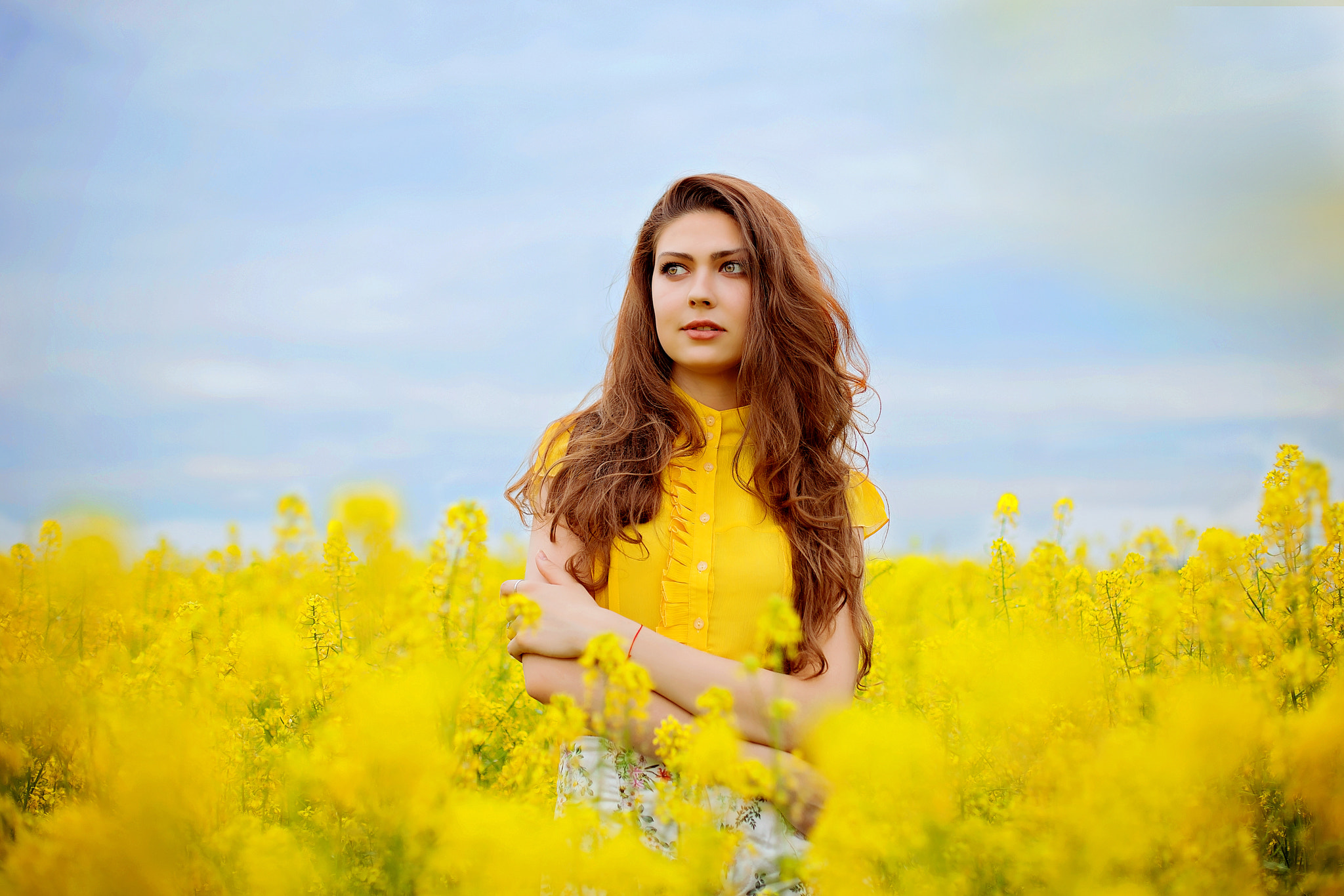 Canon EF 50mm F1.4 USM sample photo. Yellow photography