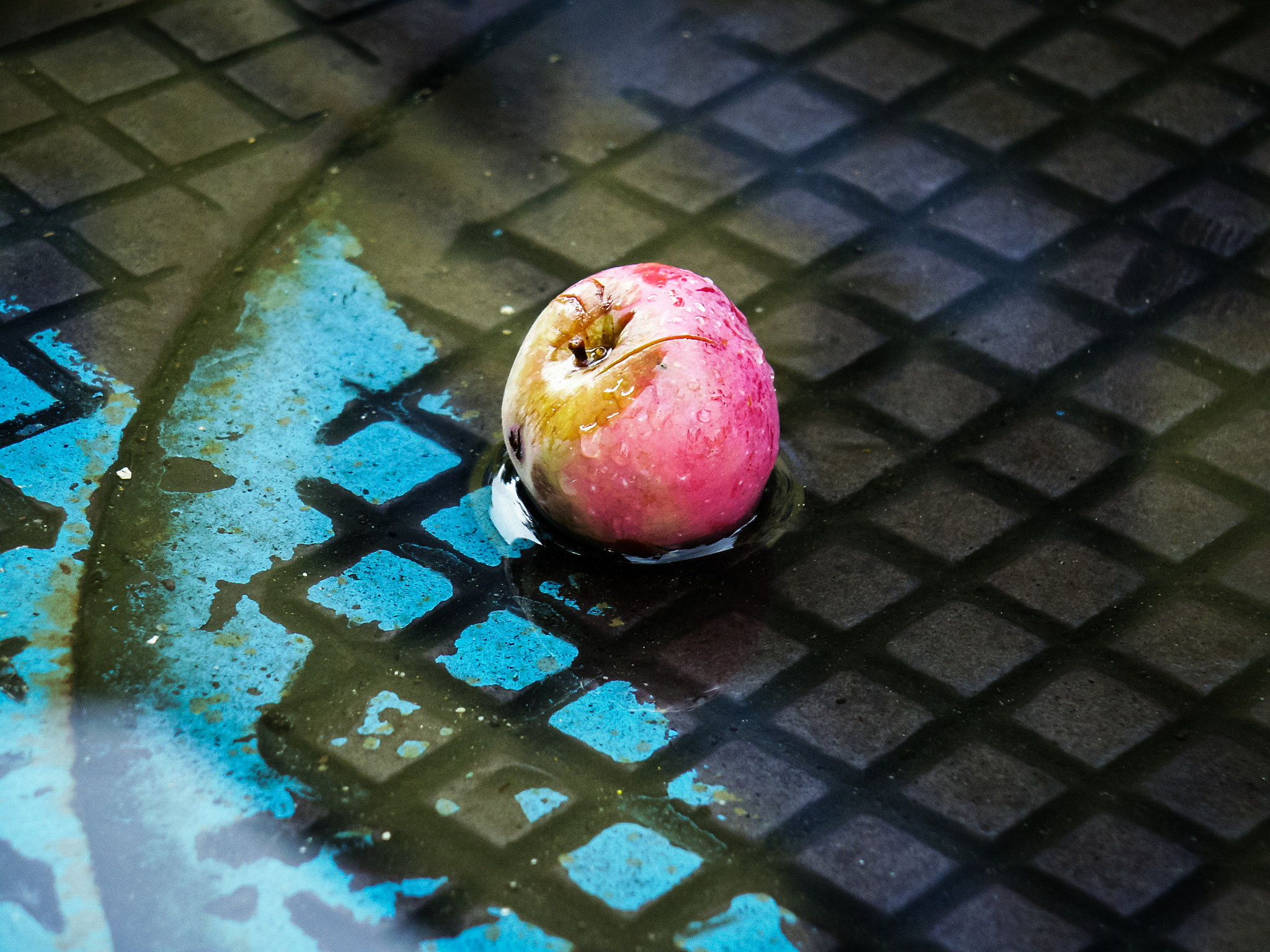 KONICA MINOLTA DiMAGE 7 sample photo. Apple in parking zone photography