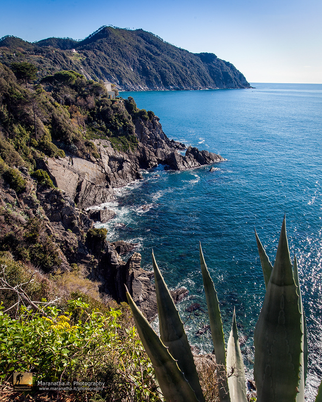 Canon EOS 5D + Canon EF 16-35mm F2.8L USM sample photo. From punta manara to the peninsula of sestri levante photography