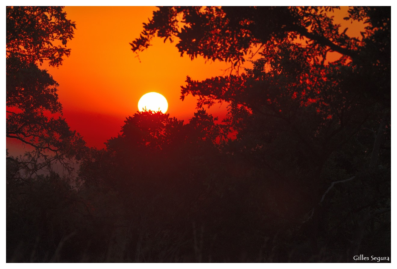 Nikon D800 + AF-S Nikkor 300mm f/2.8D IF-ED sample photo. Ride  in south africa photography