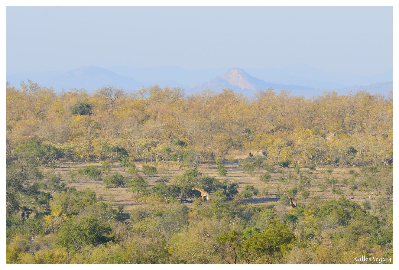 Nikon D800 sample photo. Ride  in south africa photography