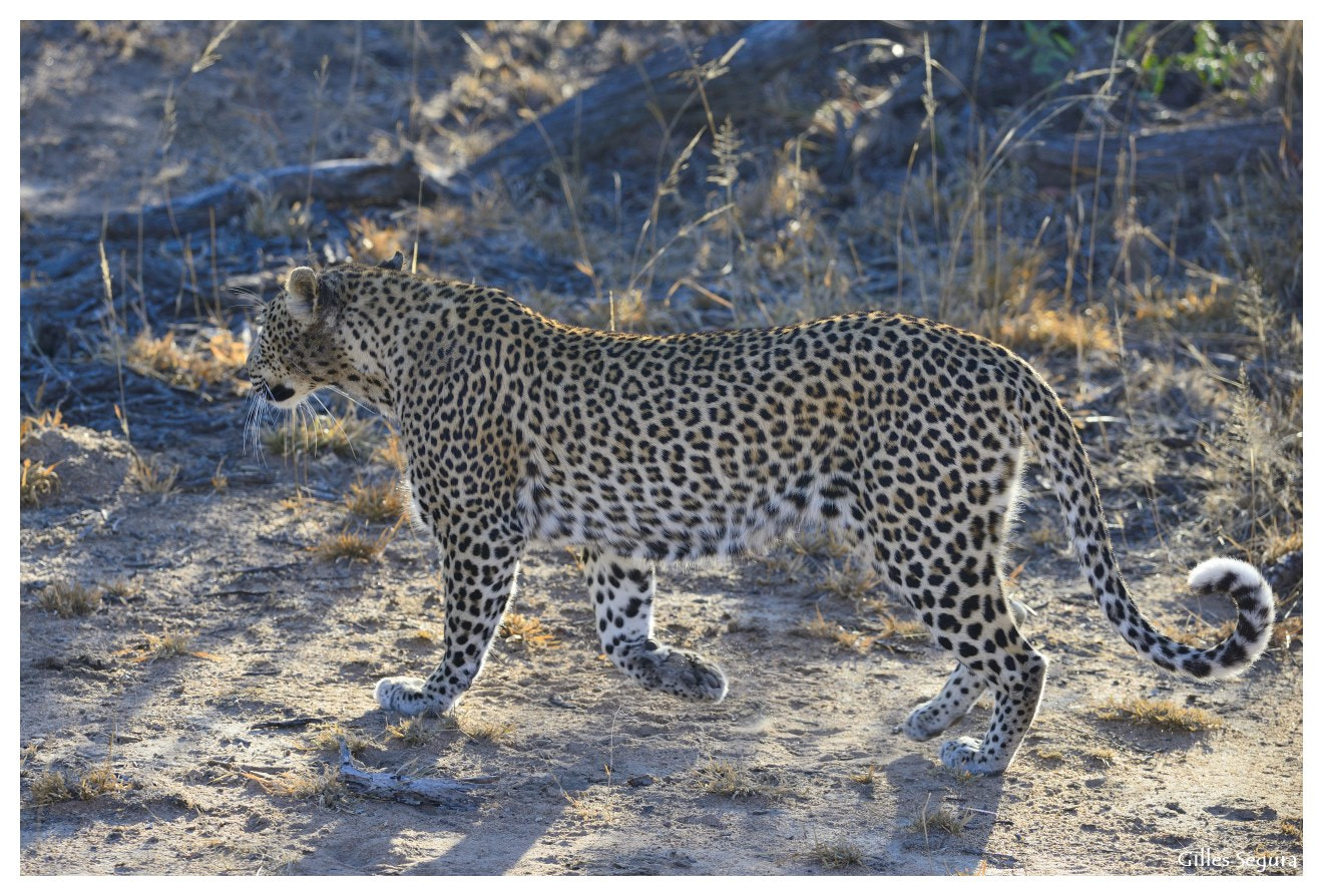 Nikon D800 sample photo. Ride  in south africa photography