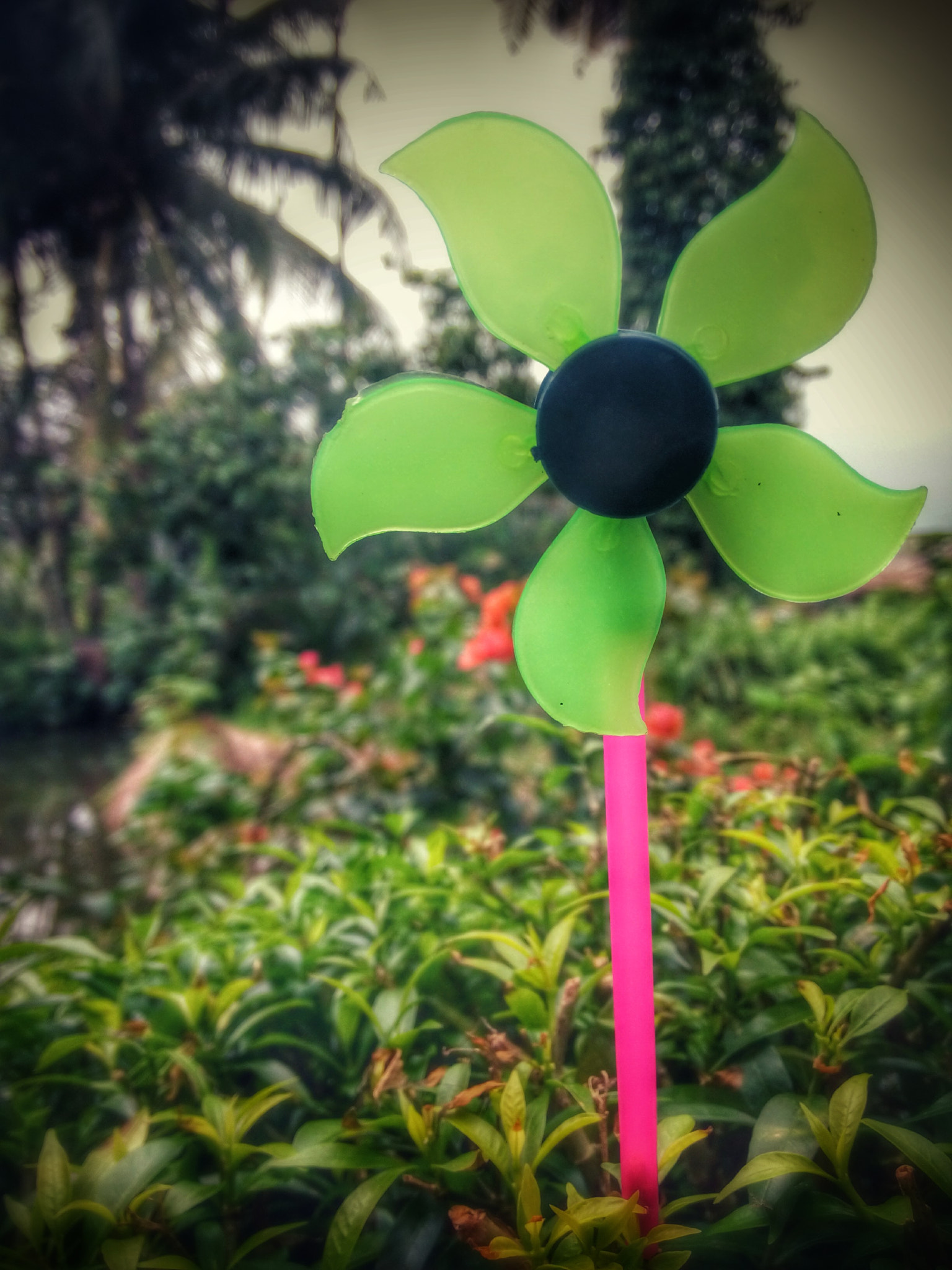OPPO R827 sample photo