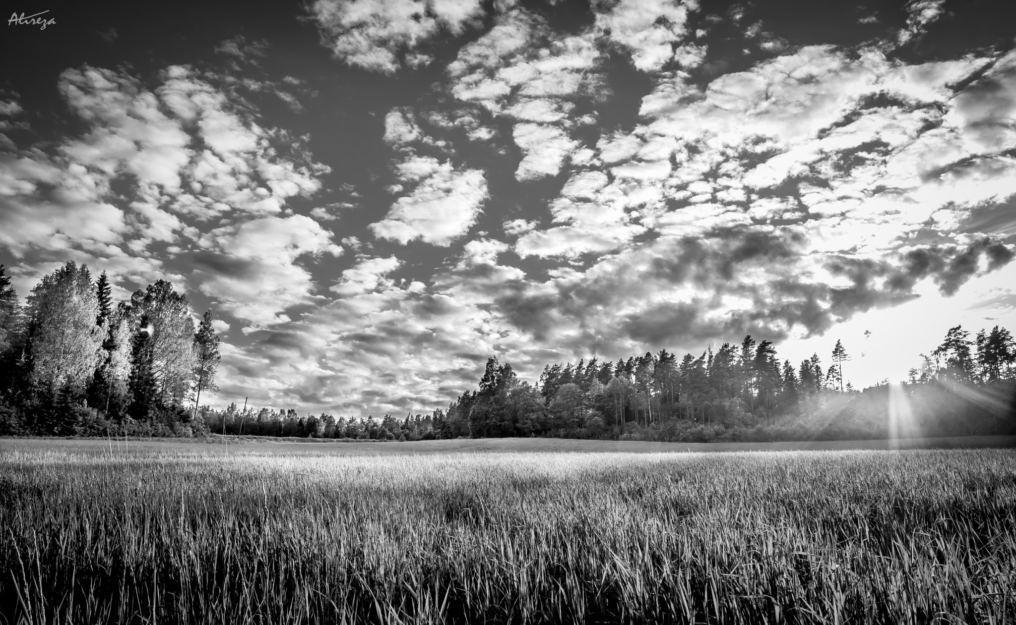 Samyang 14mm F2.8 ED AS IF UMC sample photo. 26992434553.jpg photography