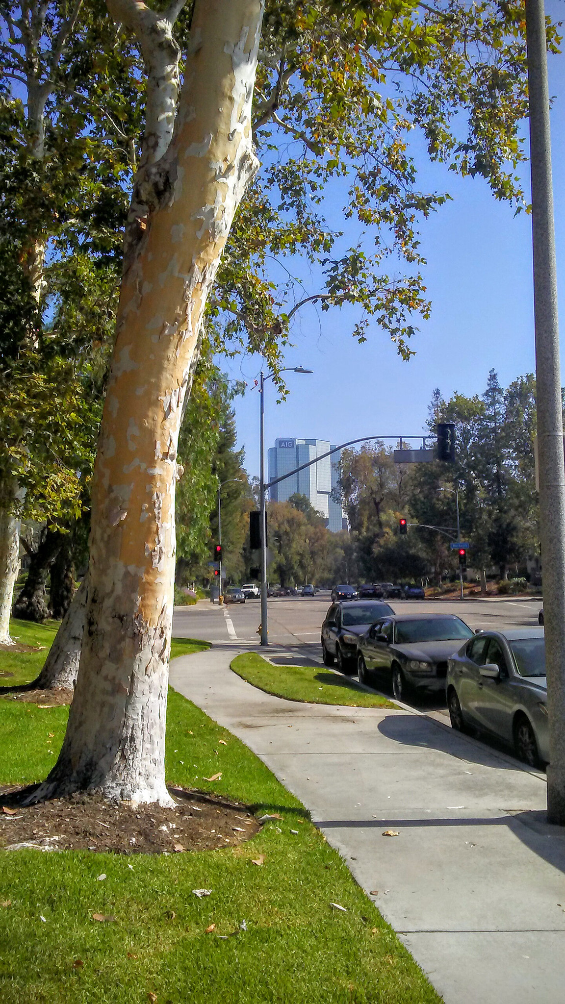 LG M1 sample photo. Morning sun...l.a. photography