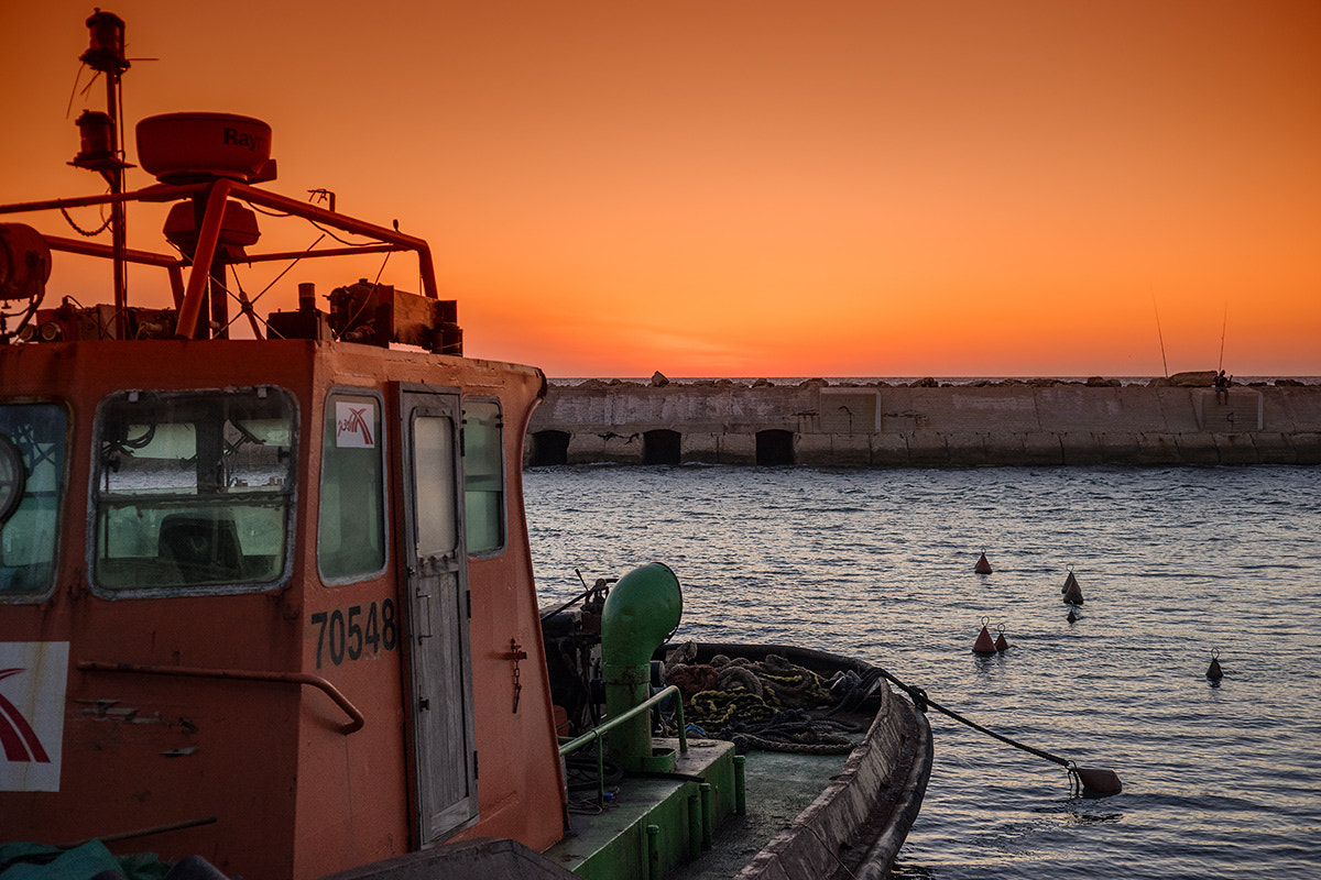 Sony a7 + Sony 50mm F2.8 Macro sample photo. Port yafo photography