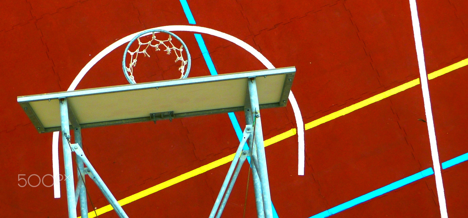 Leica V-Lux 3 sample photo. Basket photography