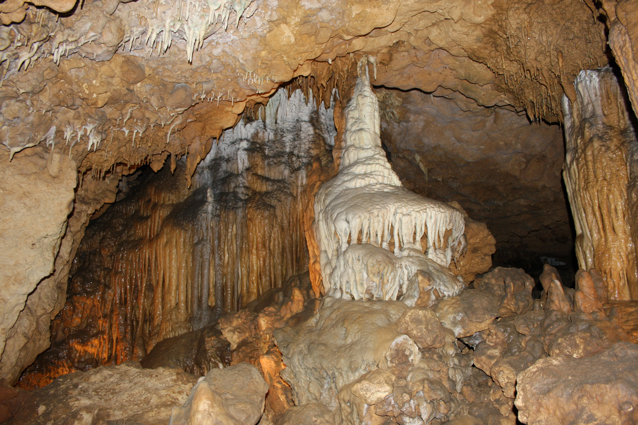 Canon EOS 40D + Canon EF-S 18-55mm F3.5-5.6 sample photo. Florida caverns 2 photography