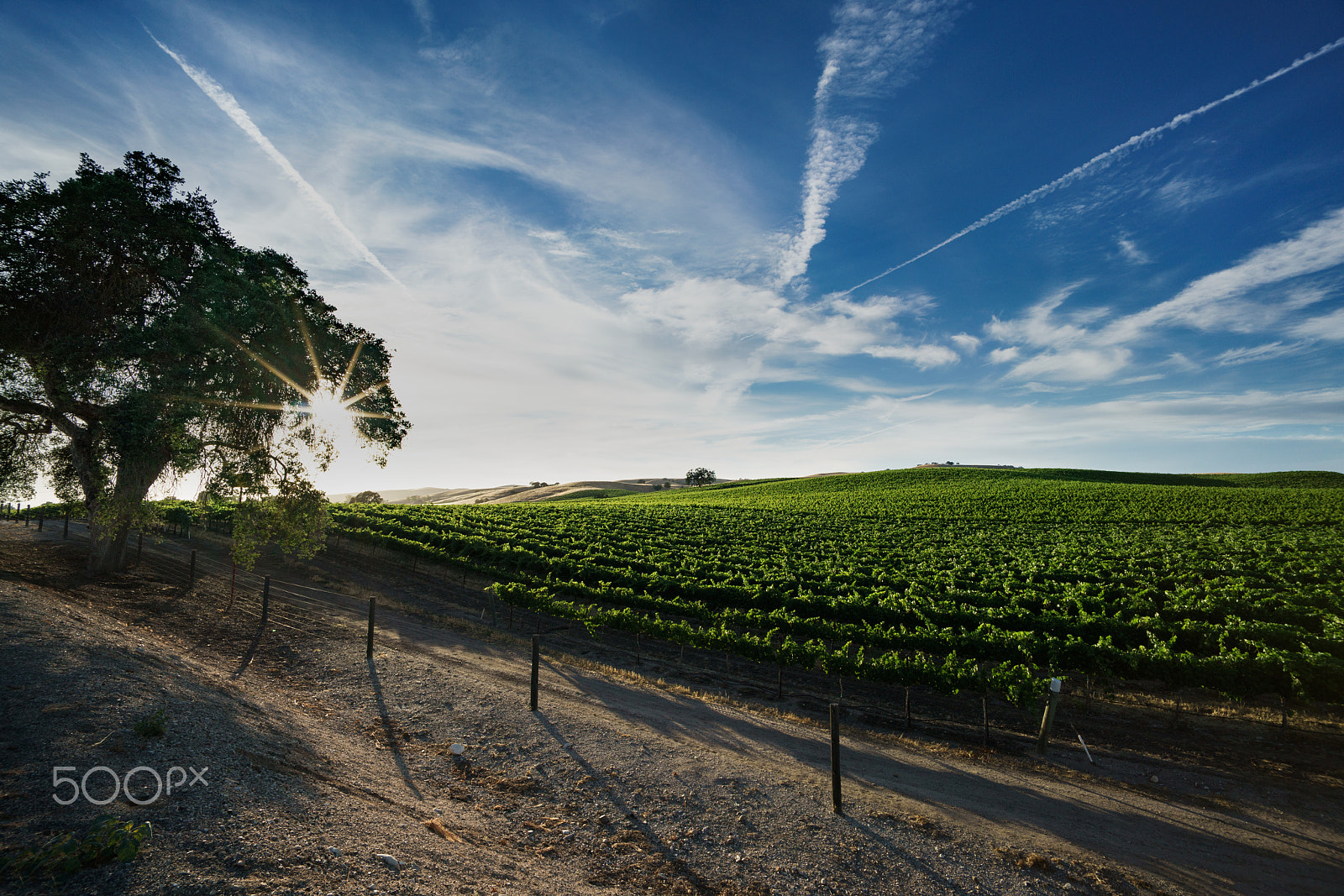 Sony a7R II + Voigtlander SUPER WIDE-HELIAR 15mm F4.5 III sample photo. Cross cyn. paso robles 15mm photography