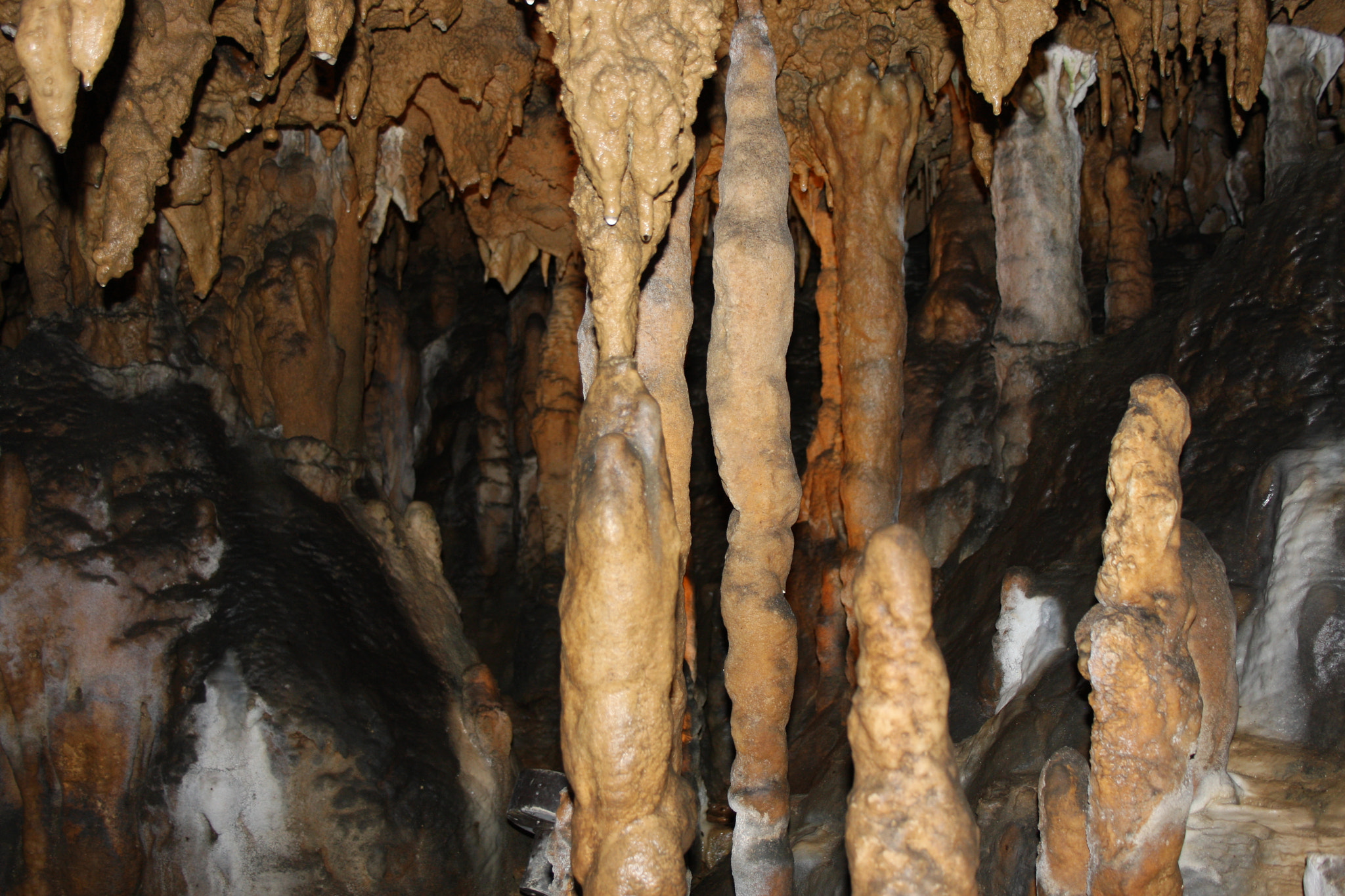 Canon EF-S 18-55mm F3.5-5.6 sample photo. Florida caverns 2 photography