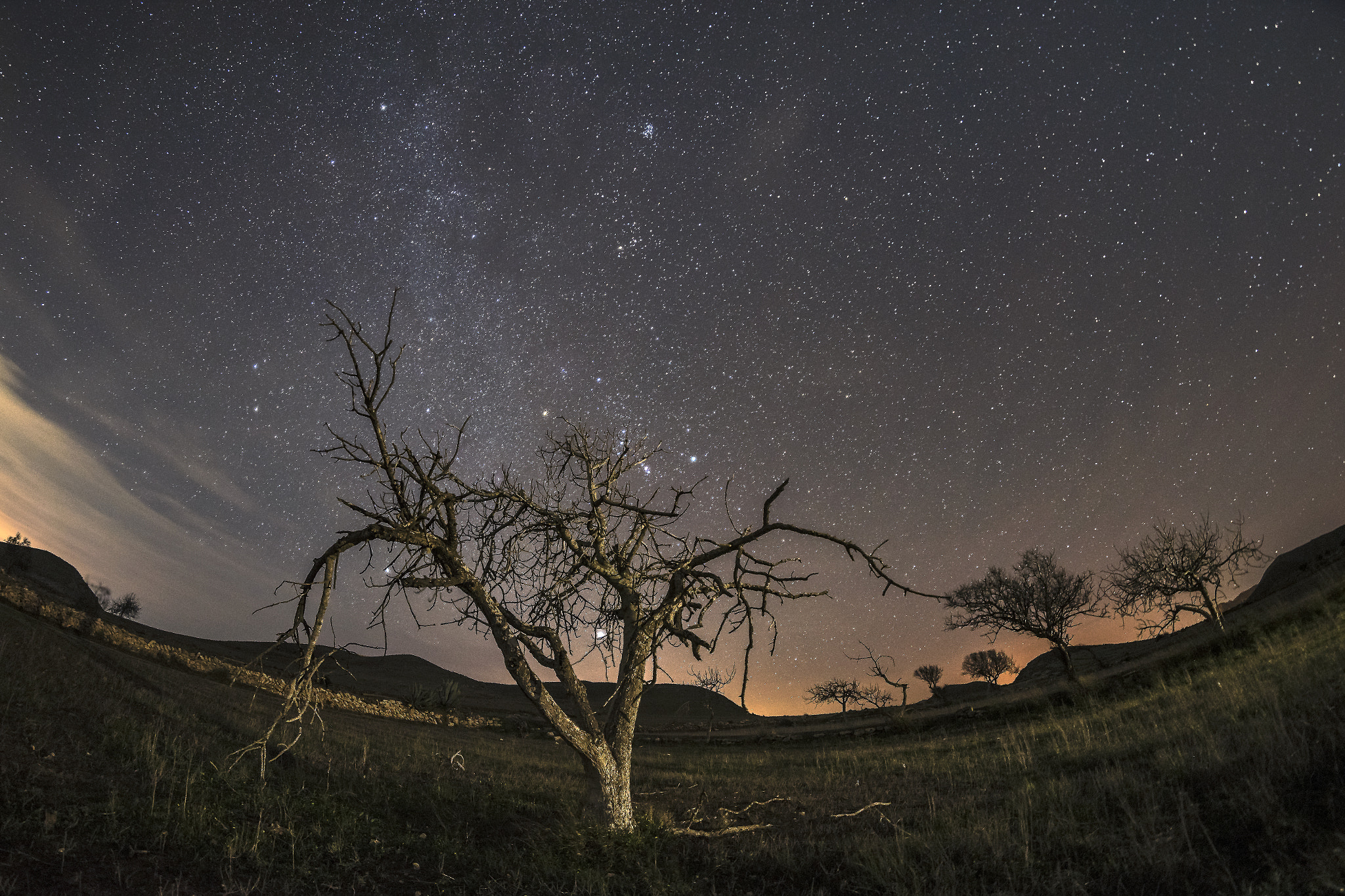 Nikon D750 + Samyang 12mm F2.8 ED AS NCS Fisheye sample photo. Embracing night photography