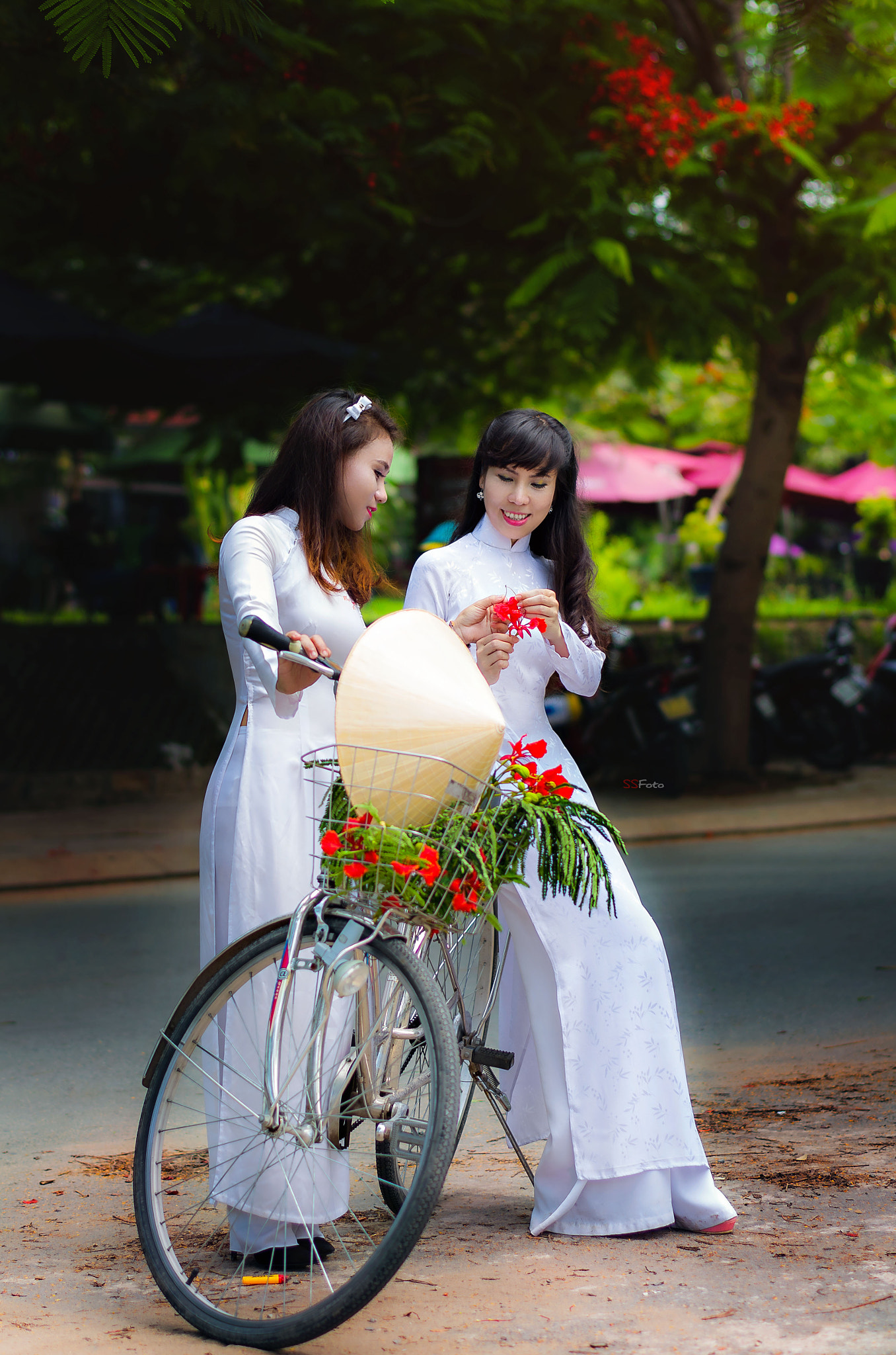 Pentax smc DA* 55mm F1.4 SDM sample photo. Students photography