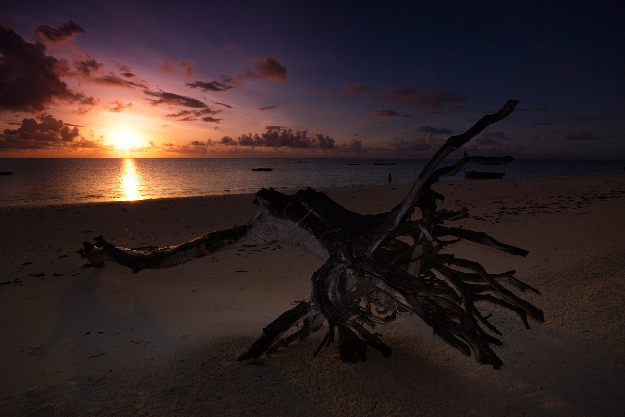 Canon EOS 40D + Sigma 10-20mm F4-5.6 EX DC HSM sample photo. The fallen one photography