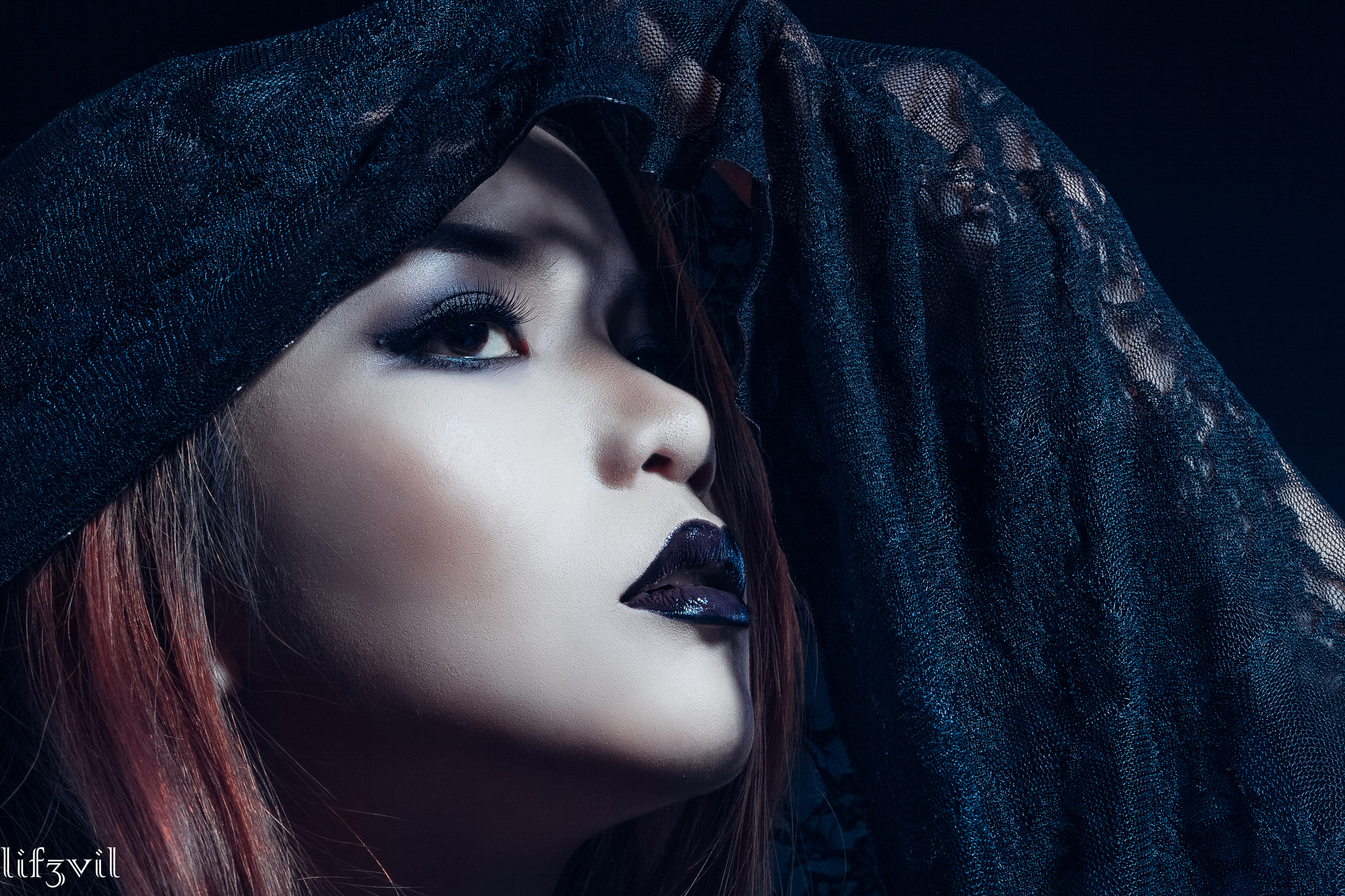 ZEISS Milvus 50mm F1.4 sample photo. Black hood photography