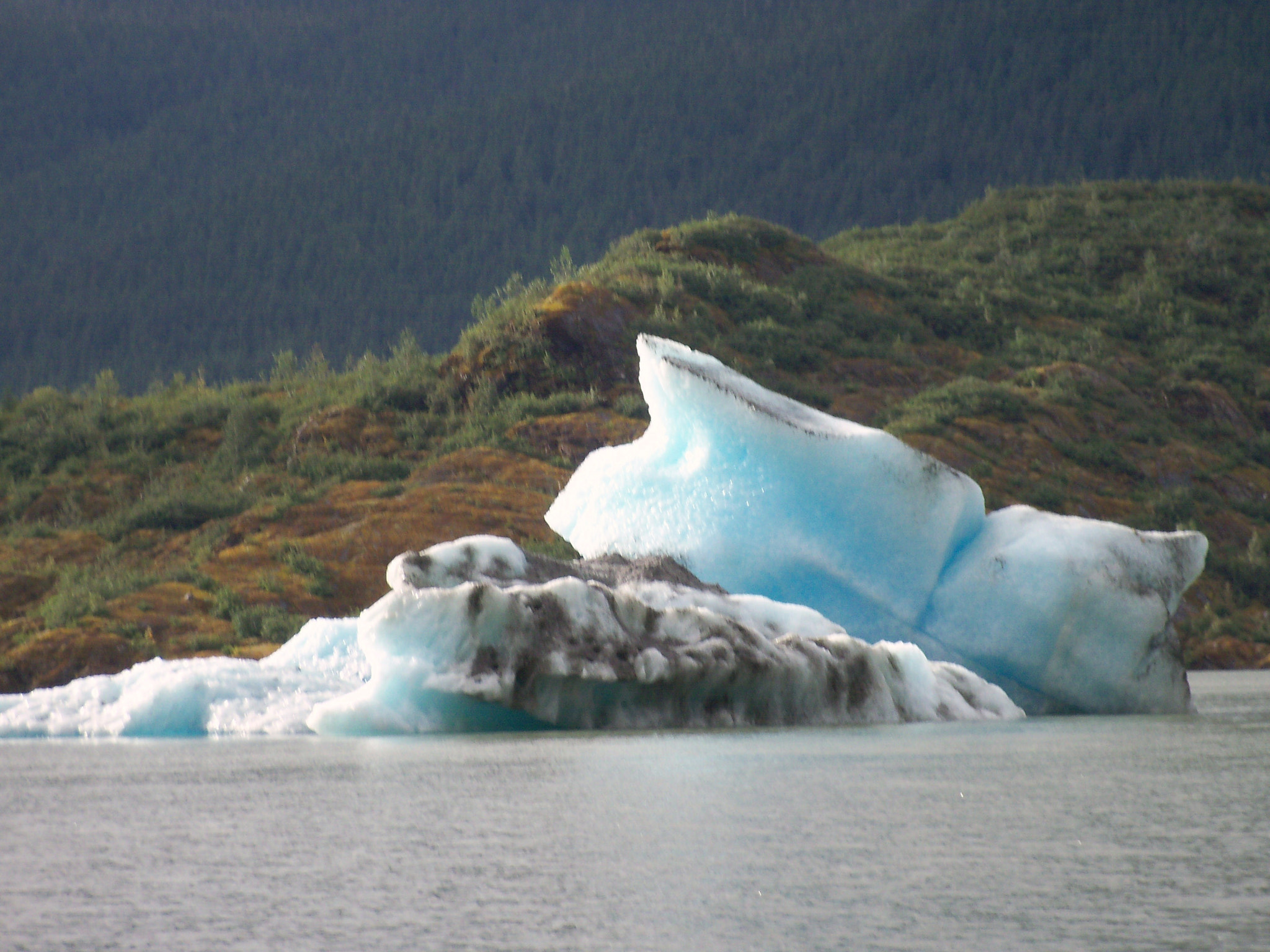 Kodak EASYSHARE C190 DIGITAL CAMERA sample photo. Alaskan glacier photography