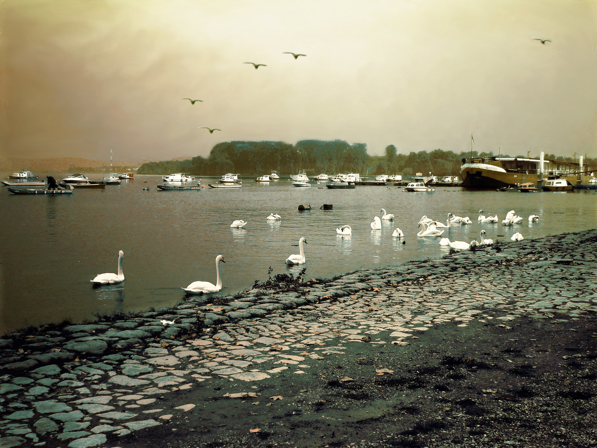 Olympus VG145,VG140,D715 sample photo. By the river photography